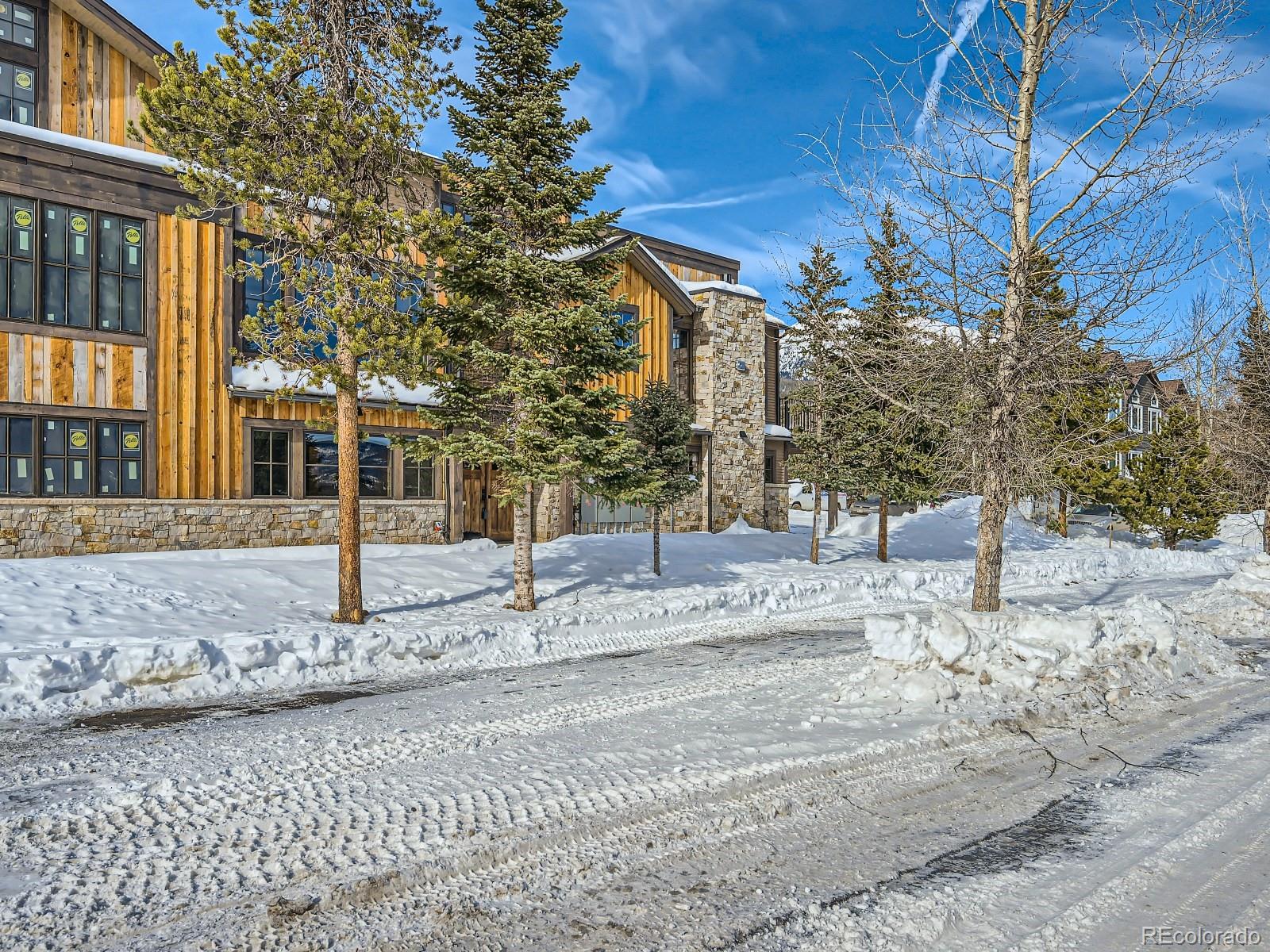 MLS Image #29 for 307 s 5th avenue,frisco, Colorado