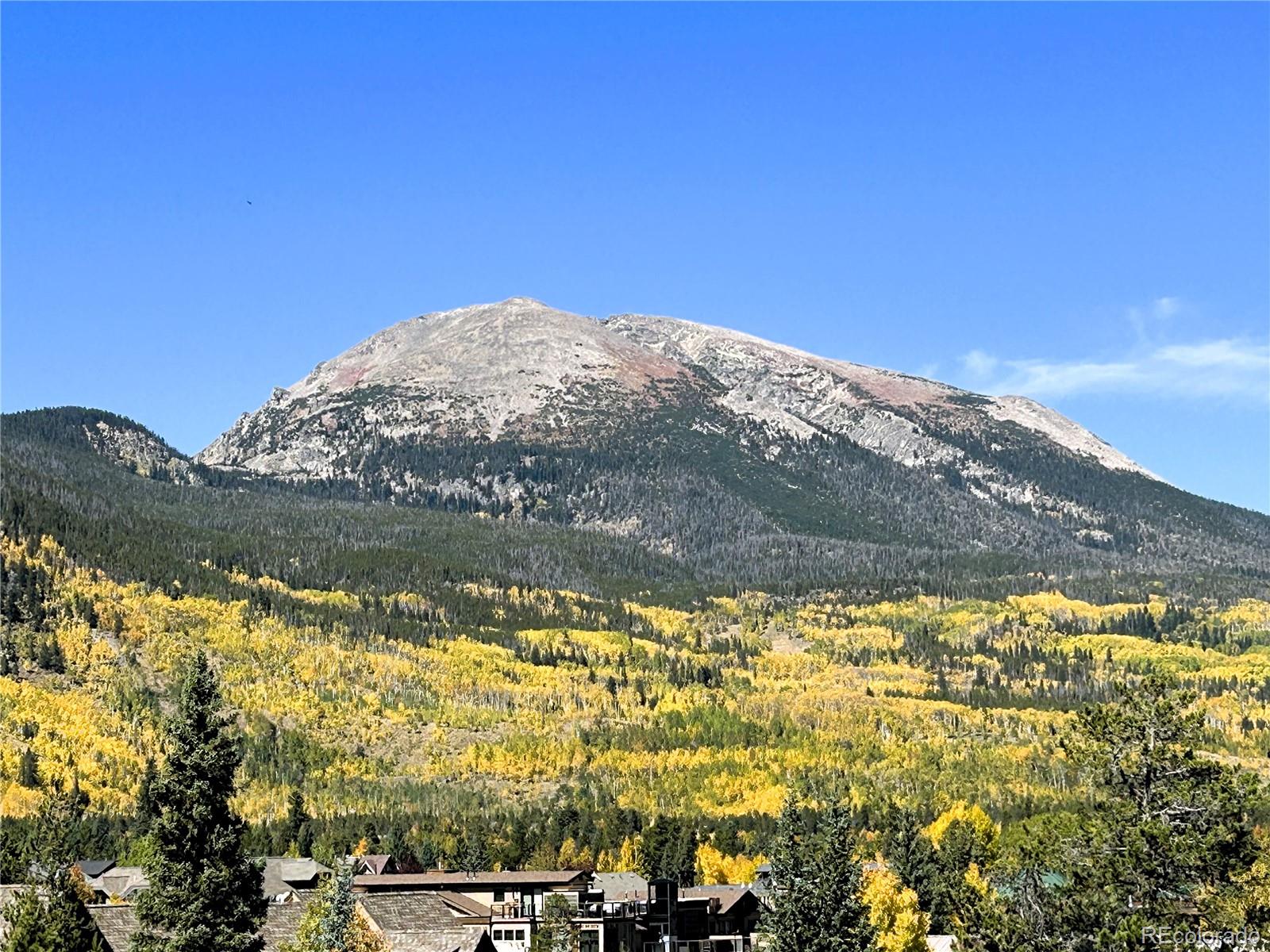 MLS Image #30 for 307 s 5th avenue,frisco, Colorado