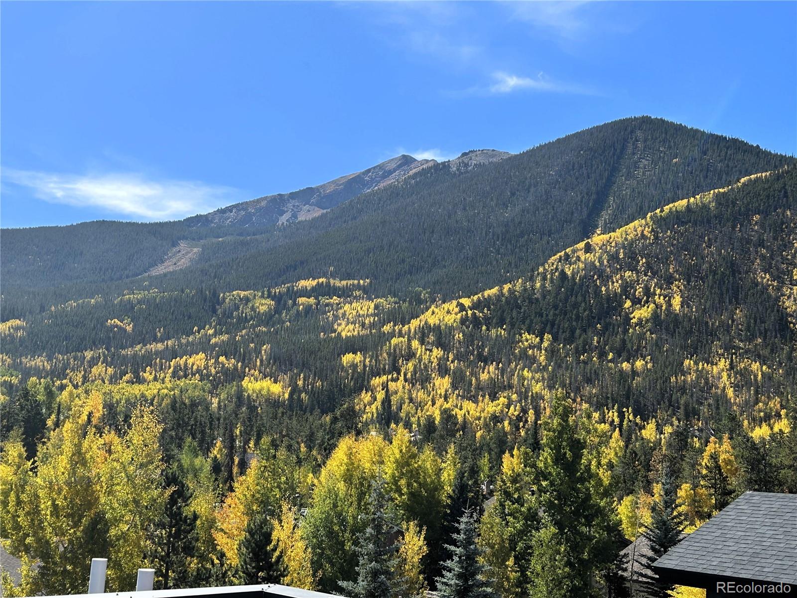 MLS Image #32 for 307 s 5th avenue,frisco, Colorado