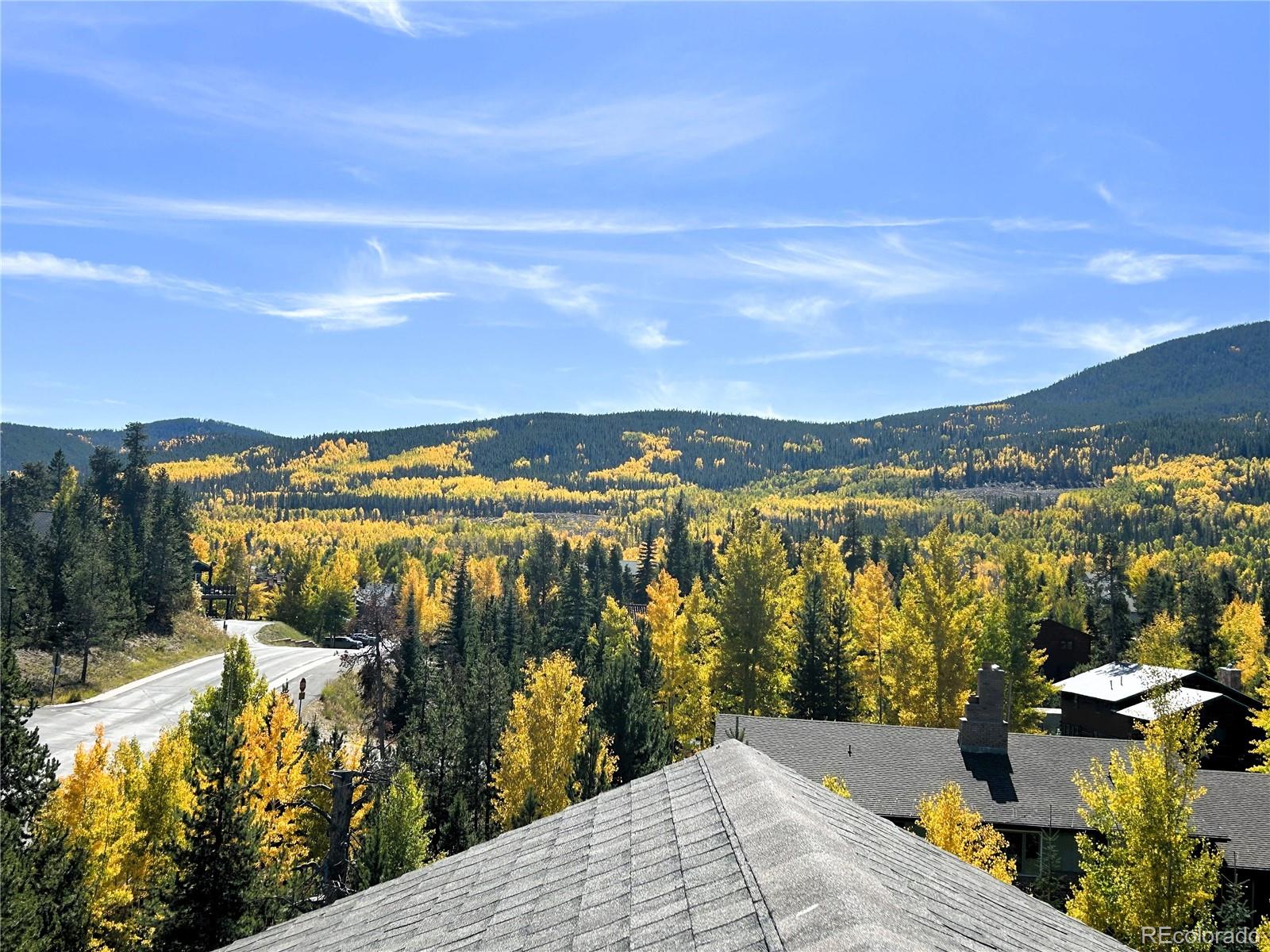 MLS Image #33 for 307 s 5th avenue,frisco, Colorado