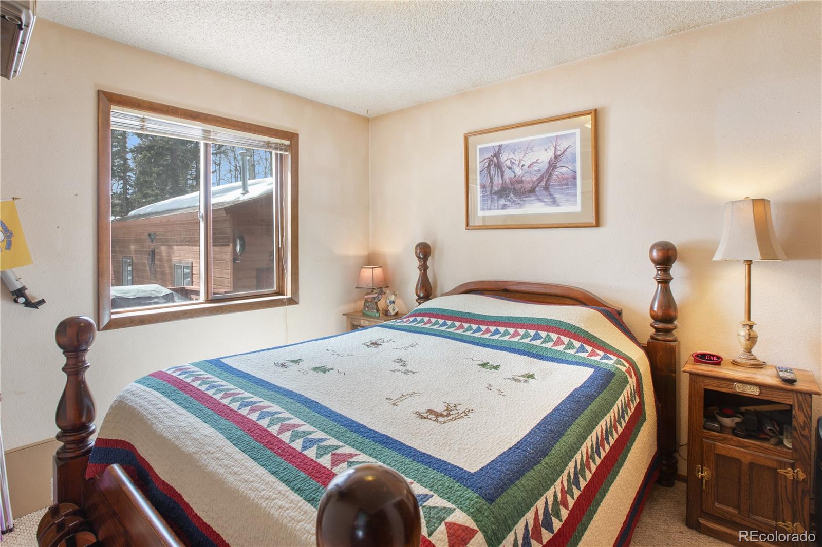MLS Image #21 for 130  minstrel drive,divide, Colorado