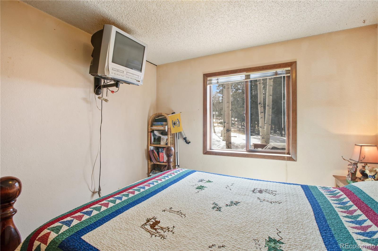 MLS Image #23 for 130  minstrel drive,divide, Colorado