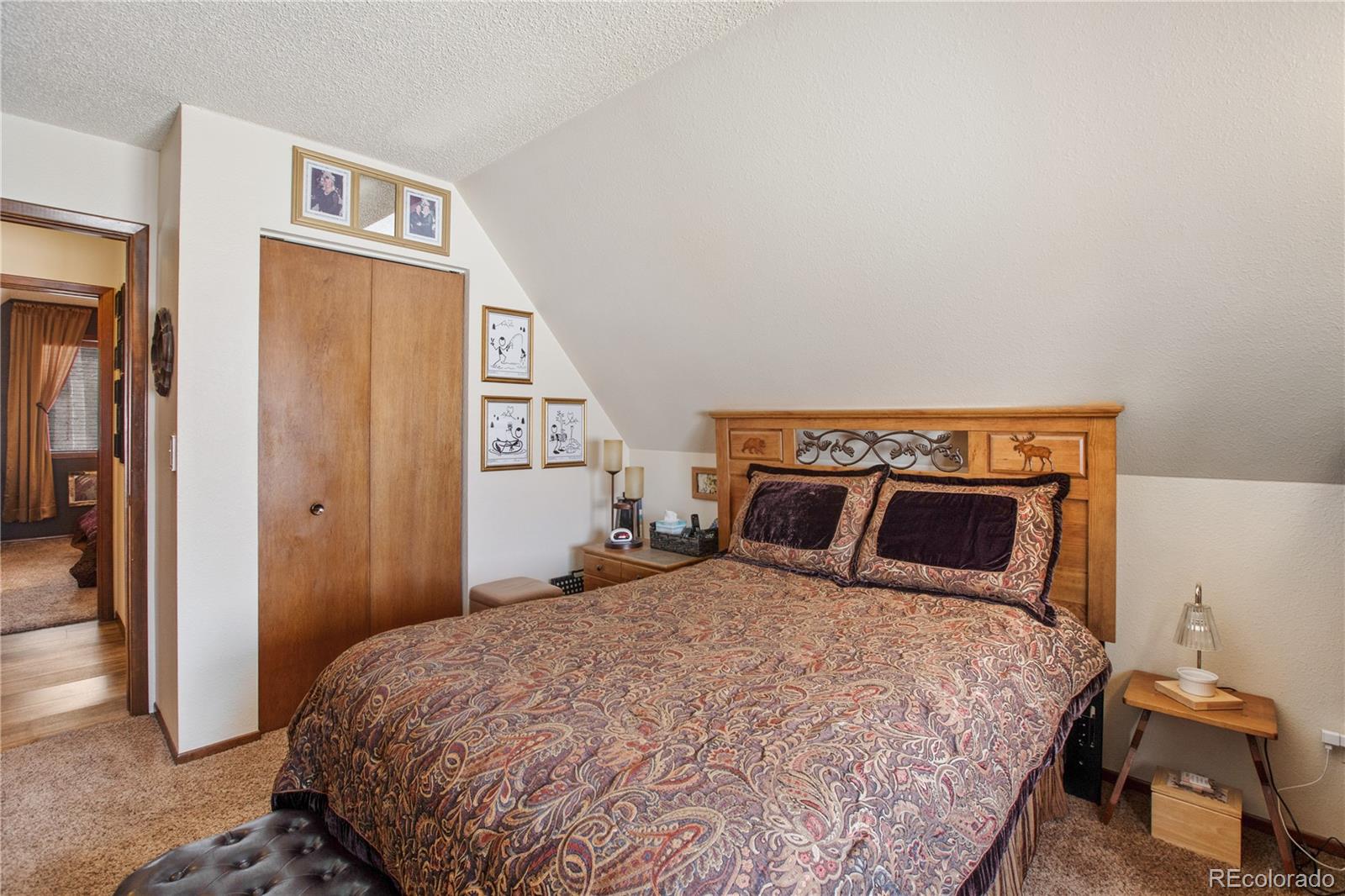 MLS Image #26 for 130  minstrel drive,divide, Colorado