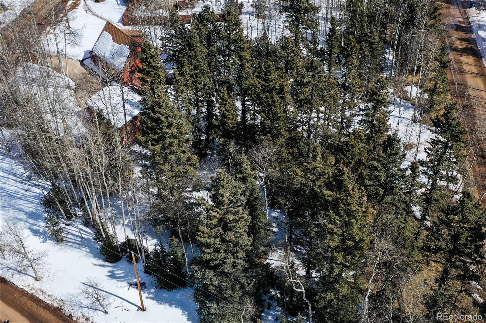 MLS Image #37 for 130  minstrel drive,divide, Colorado