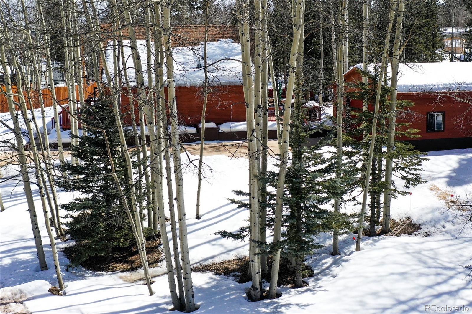MLS Image #41 for 130  minstrel drive,divide, Colorado