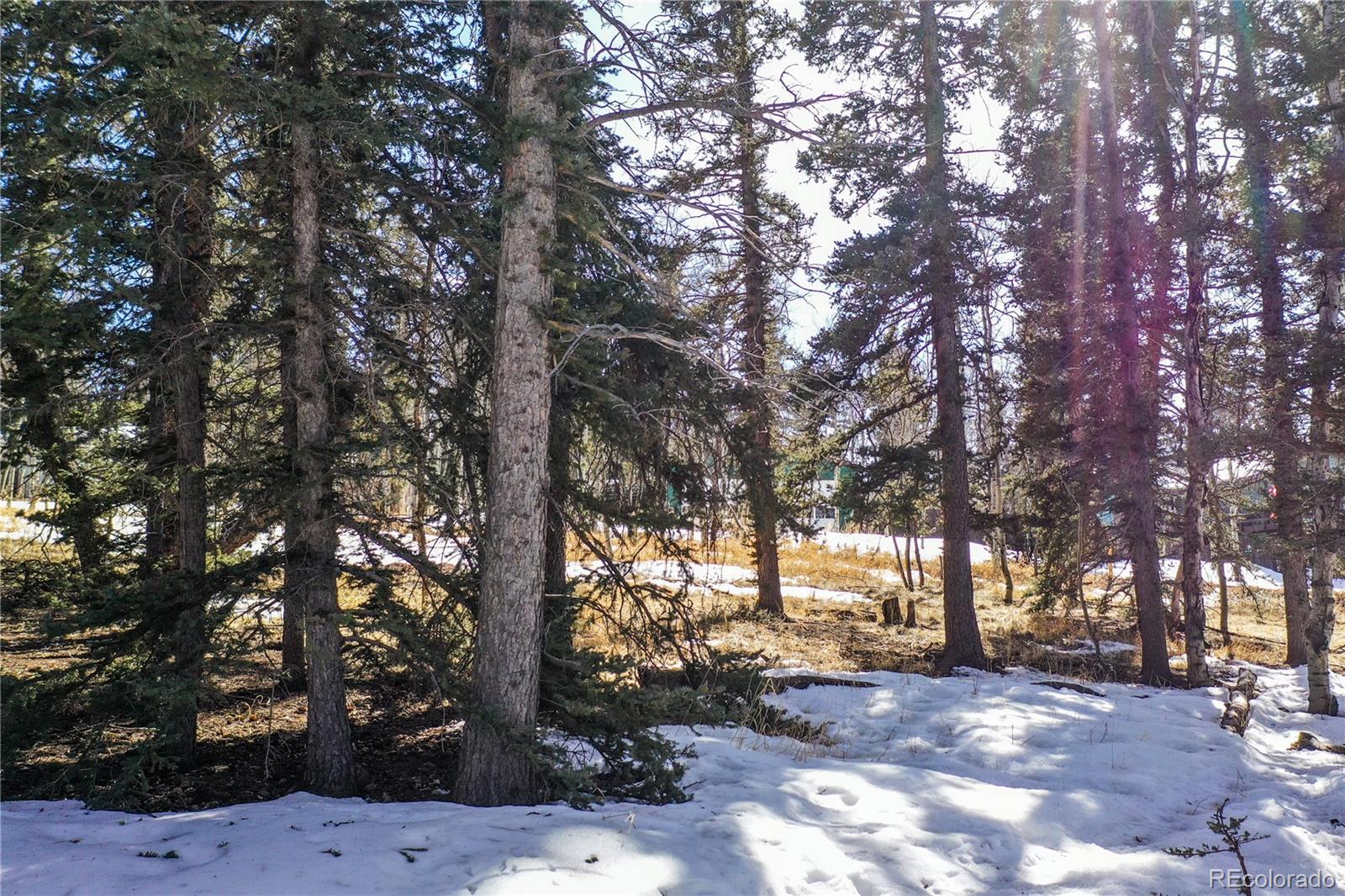 MLS Image #44 for 130  minstrel drive,divide, Colorado