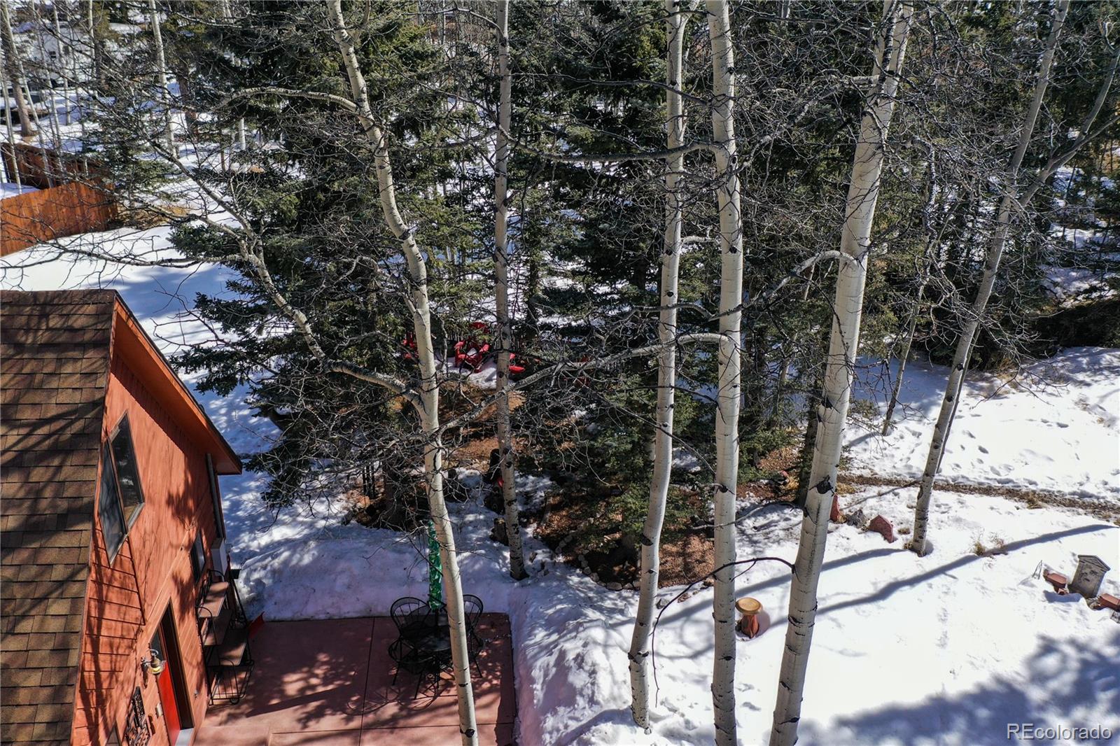 MLS Image #46 for 130  minstrel drive,divide, Colorado