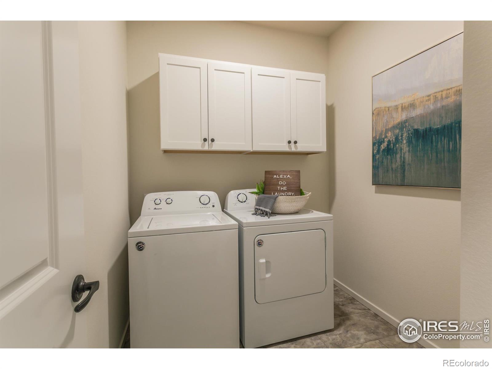 MLS Image #19 for 5018  mckinnon court,timnath, Colorado