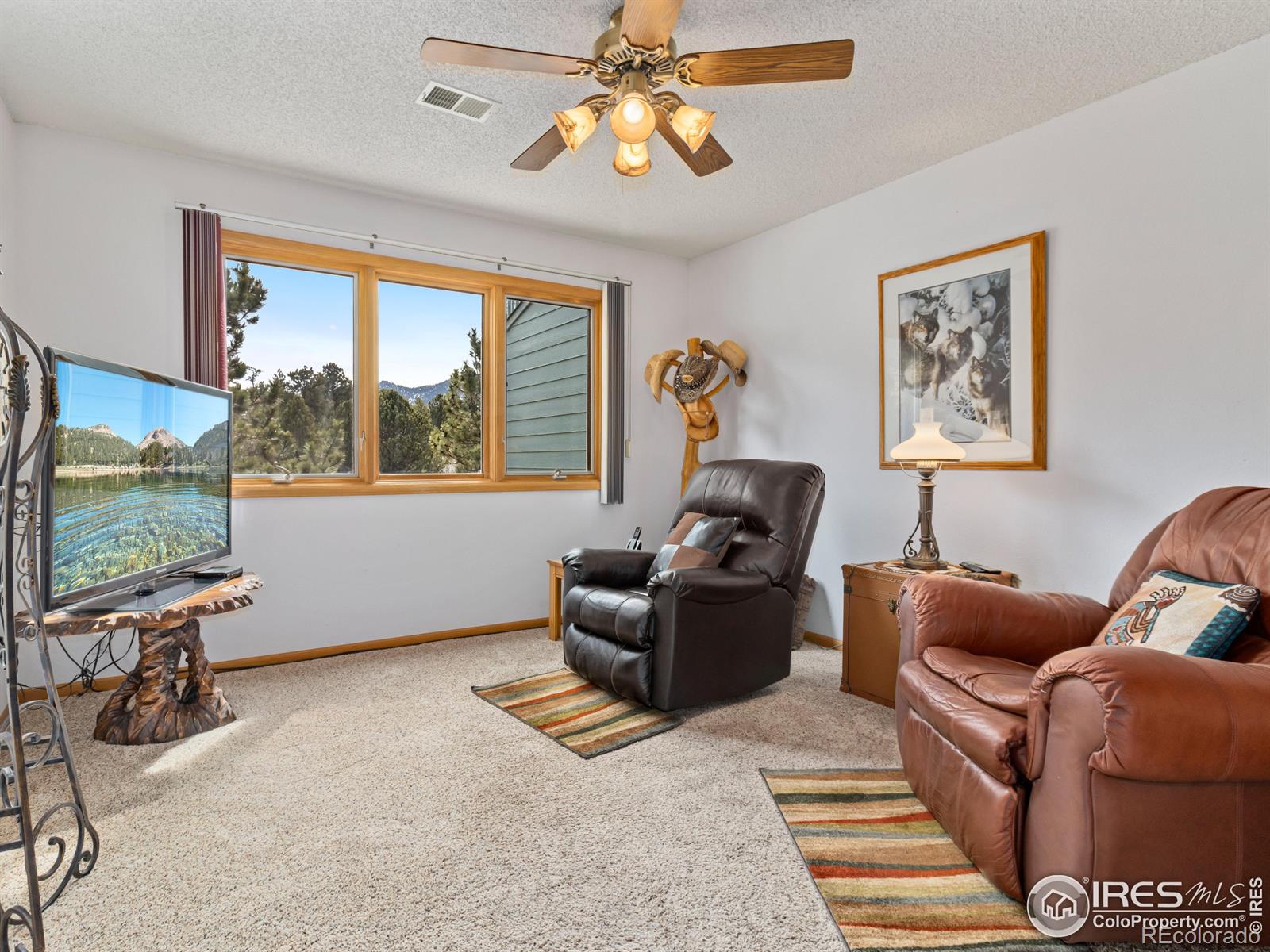 MLS Image #18 for 1861  raven avenue,estes park, Colorado