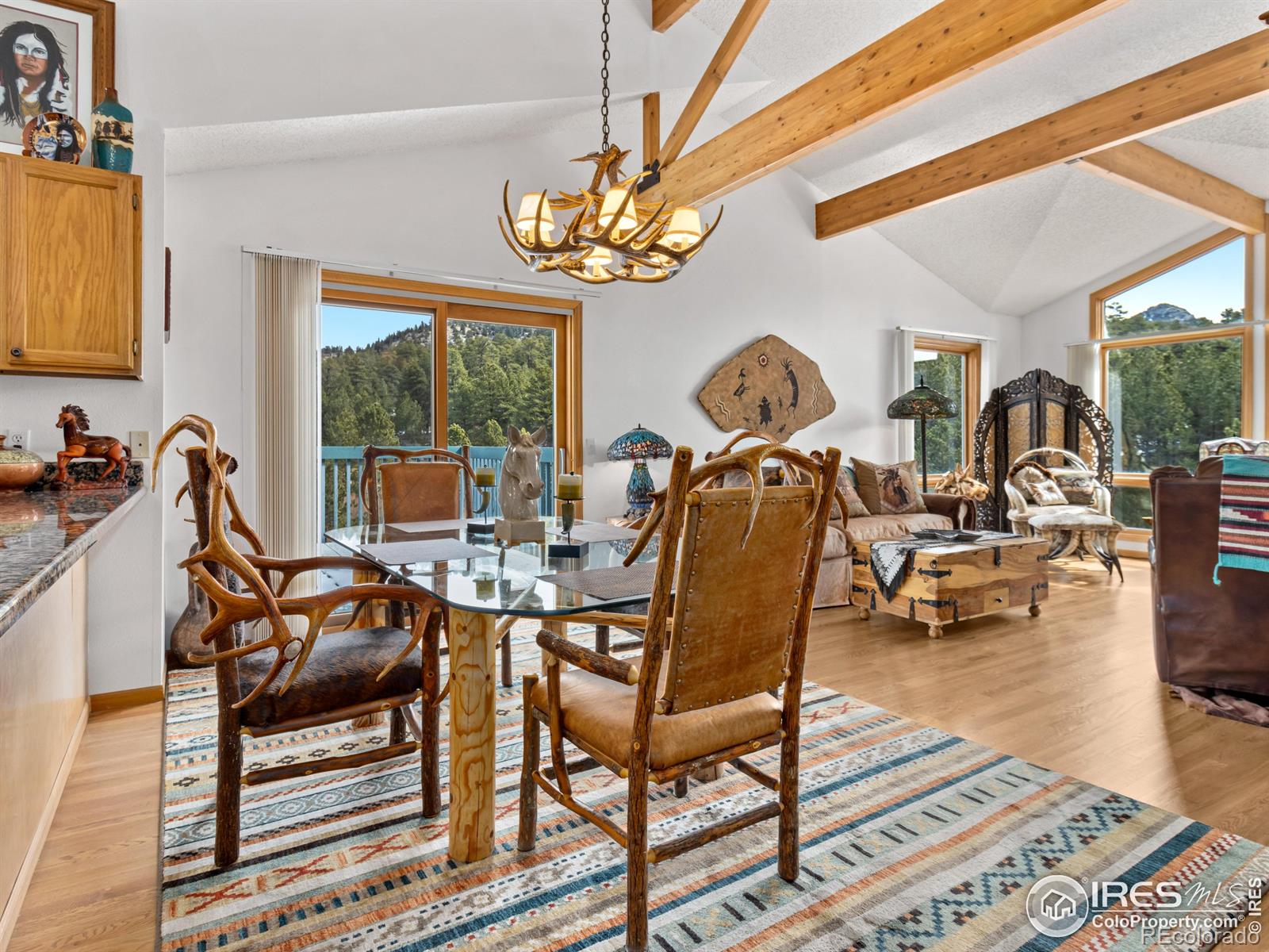 MLS Image #8 for 1861  raven avenue,estes park, Colorado