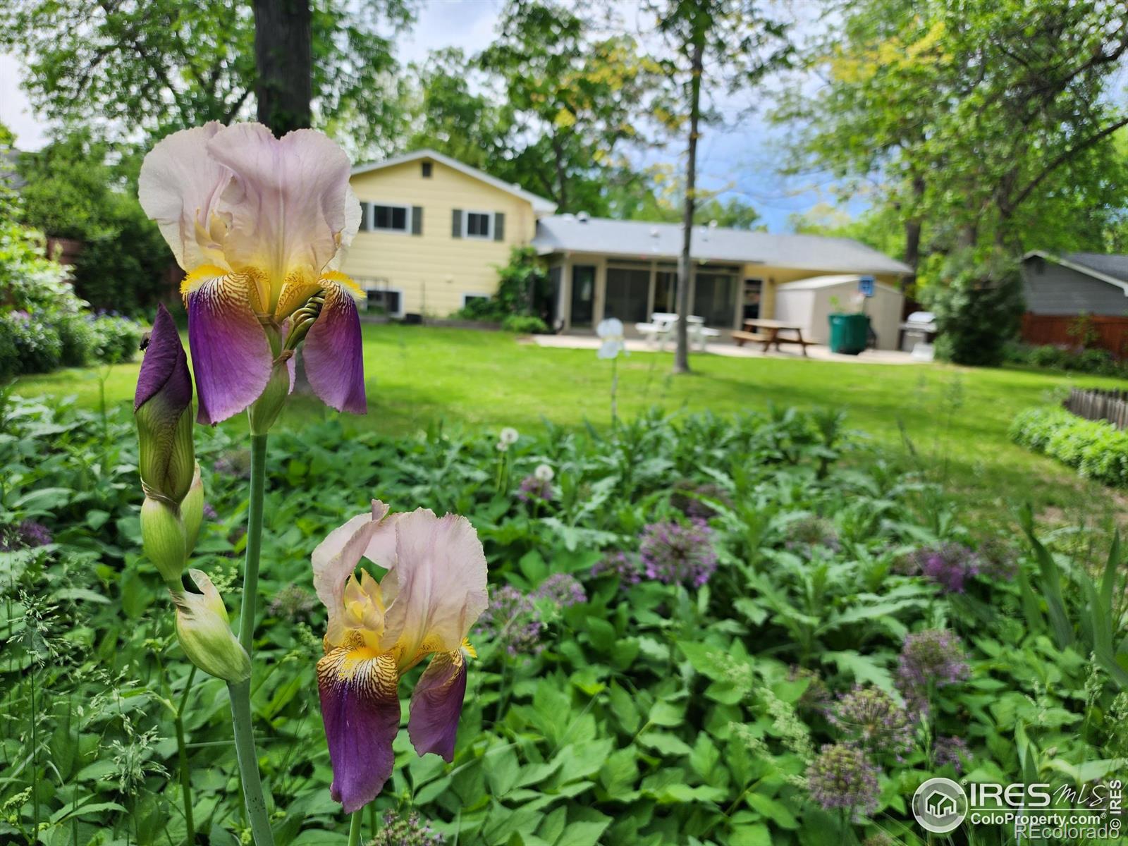 MLS Image #24 for 1028  skyline drive,fort collins, Colorado