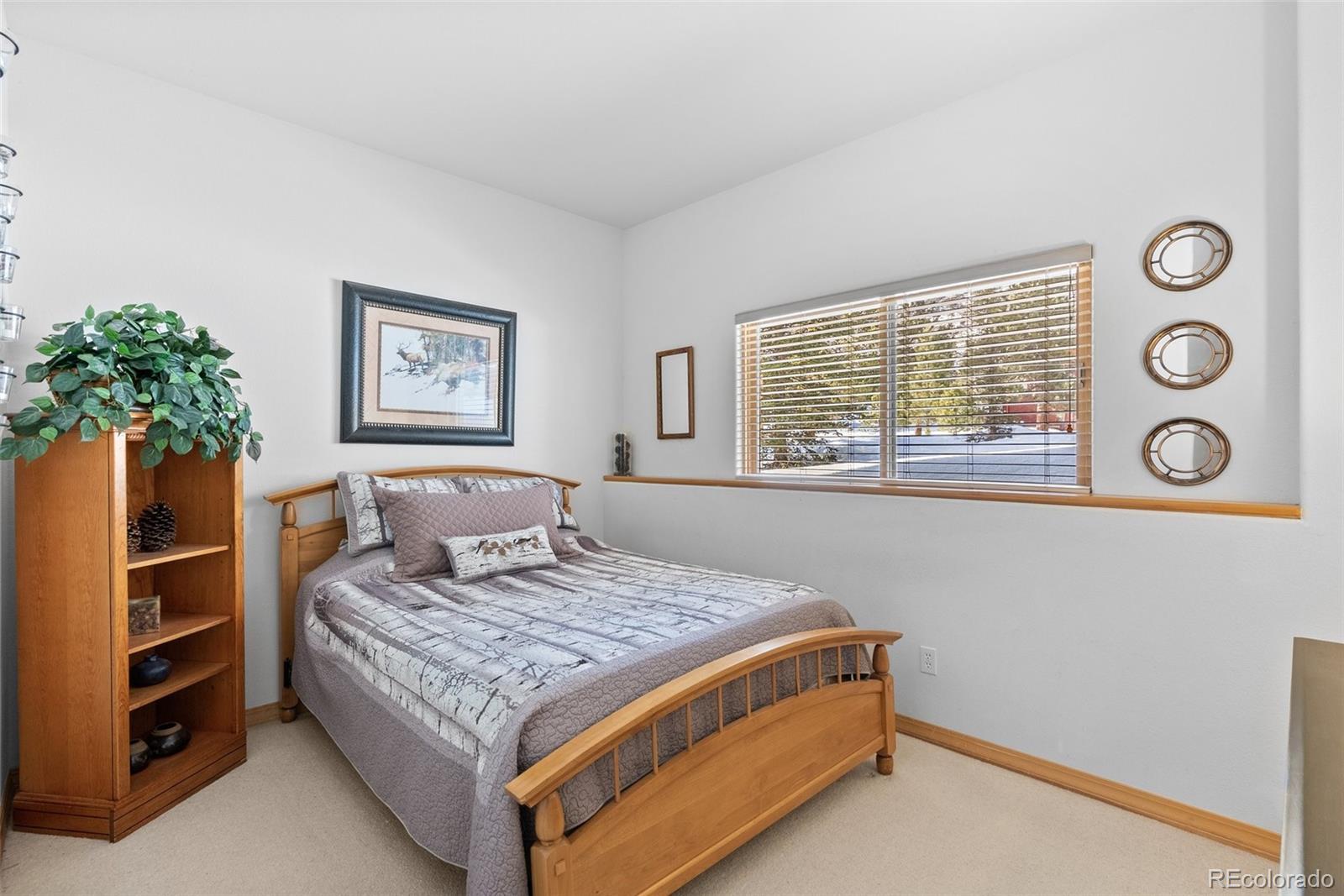 MLS Image #29 for 420  stagecoach boulevard,evergreen, Colorado