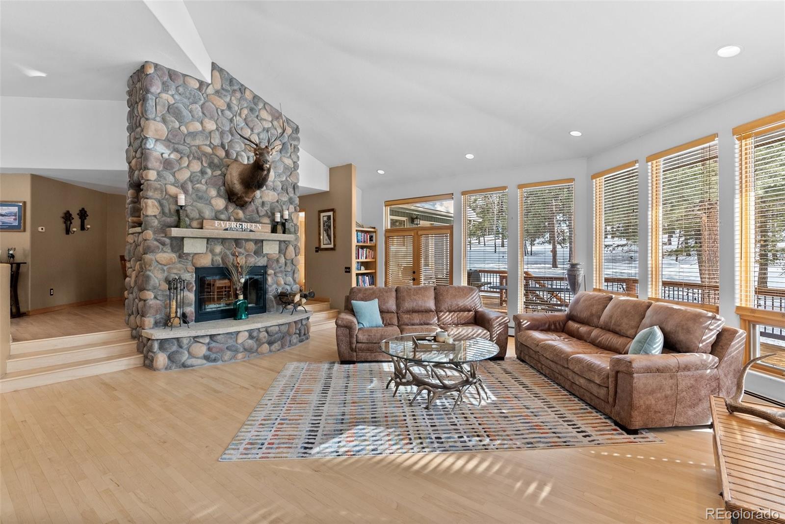 MLS Image #5 for 420  stagecoach boulevard,evergreen, Colorado