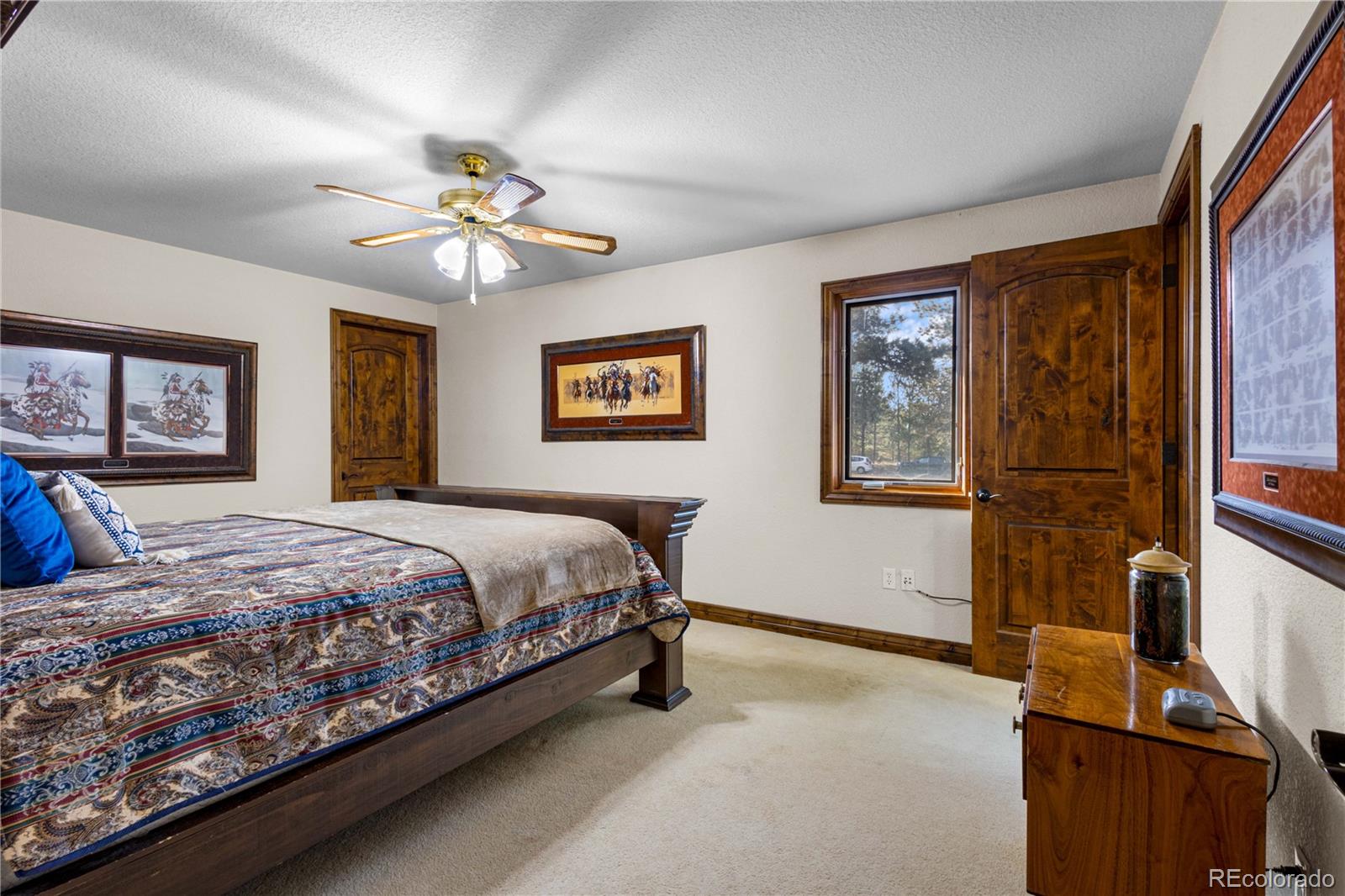 MLS Image #15 for 7470  chirgiton road,colorado springs, Colorado