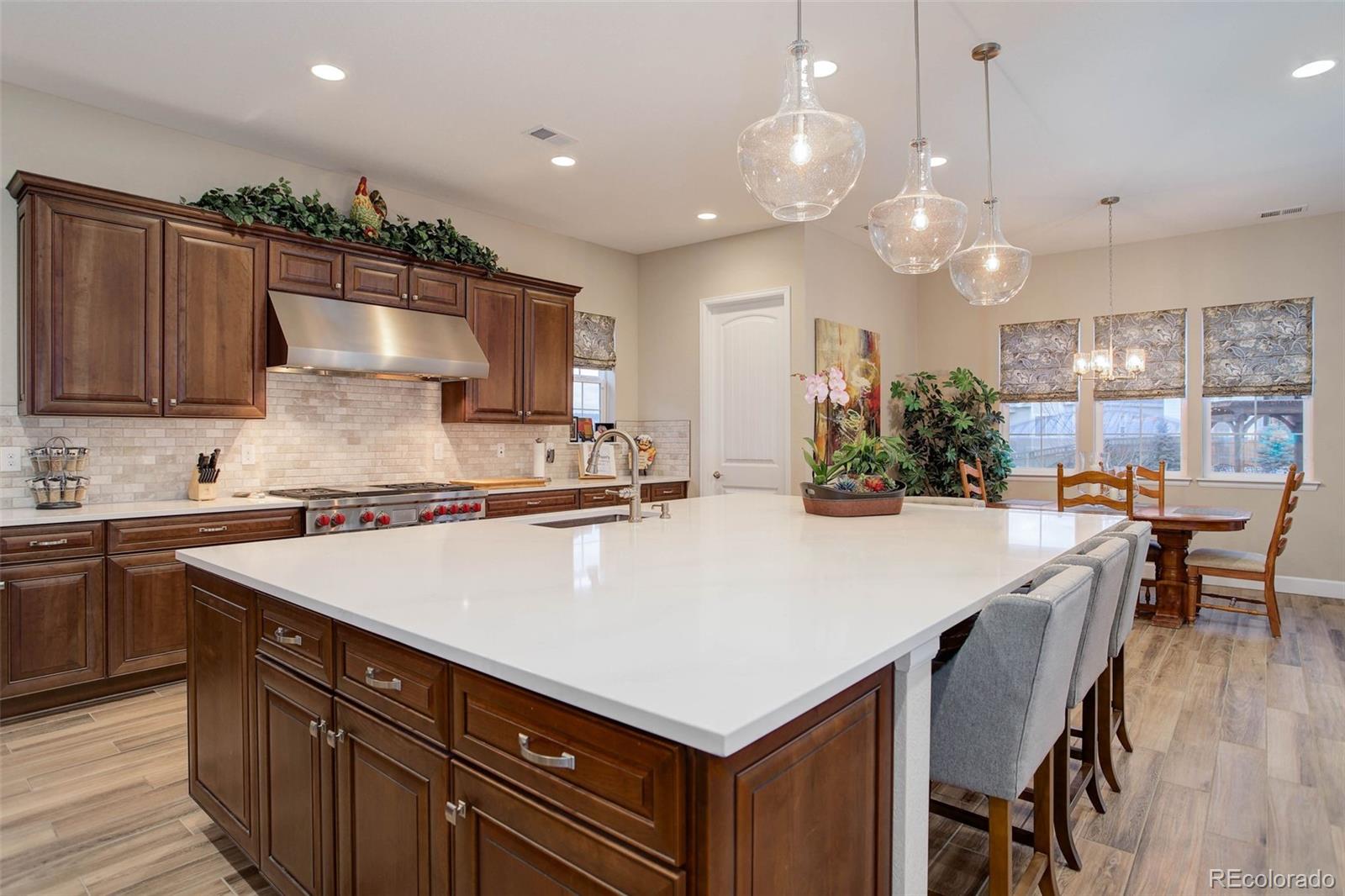 MLS Image #2 for 3108  morningbird lane,castle rock, Colorado