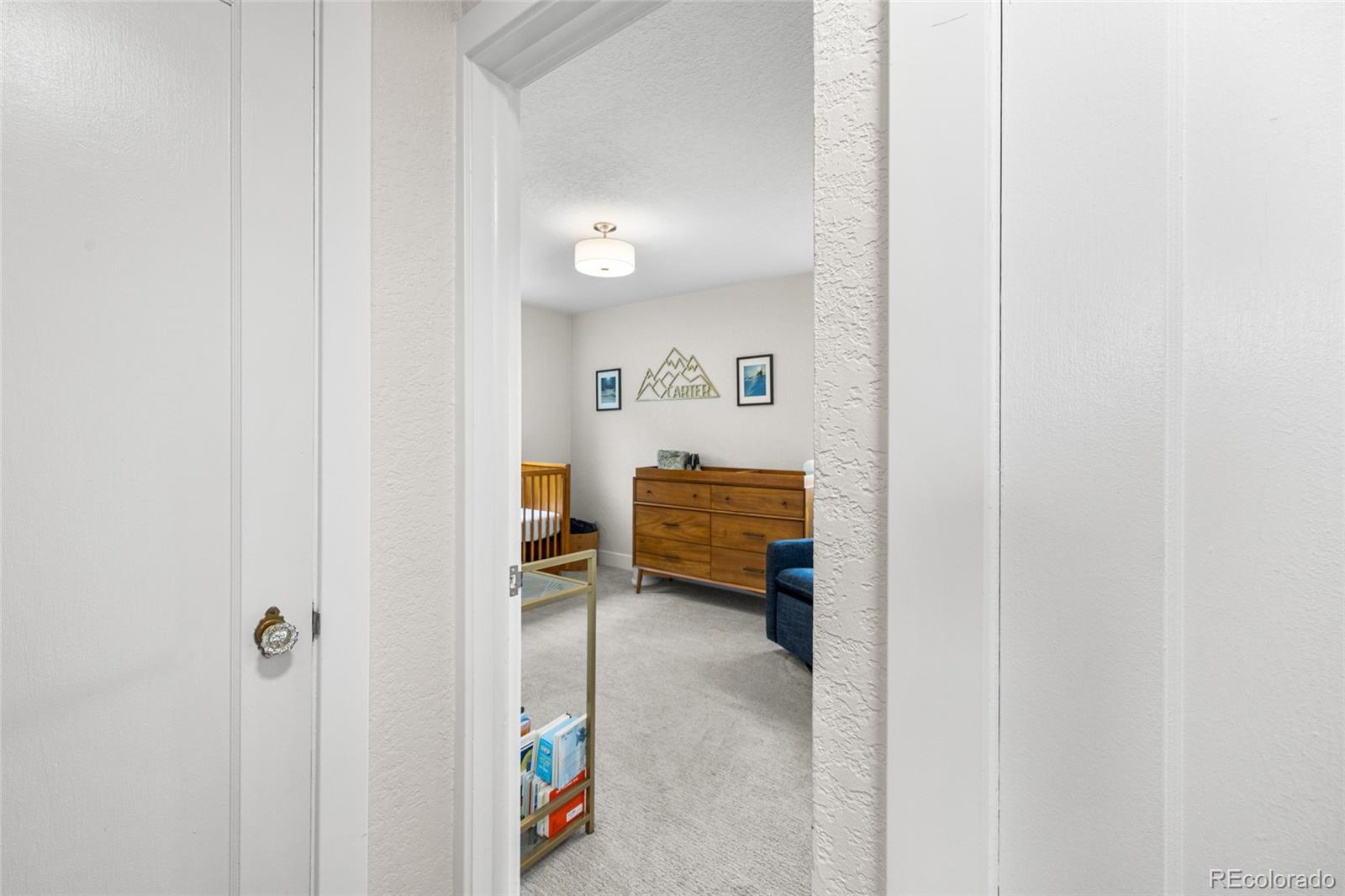 MLS Image #33 for 1185 s forest street,denver, Colorado