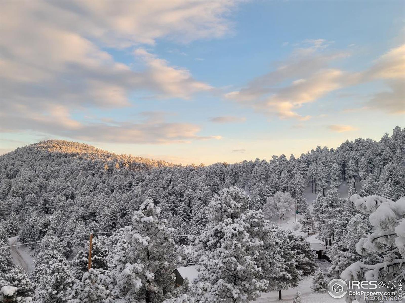 MLS Image #10 for 250  pine tree lane,boulder, Colorado