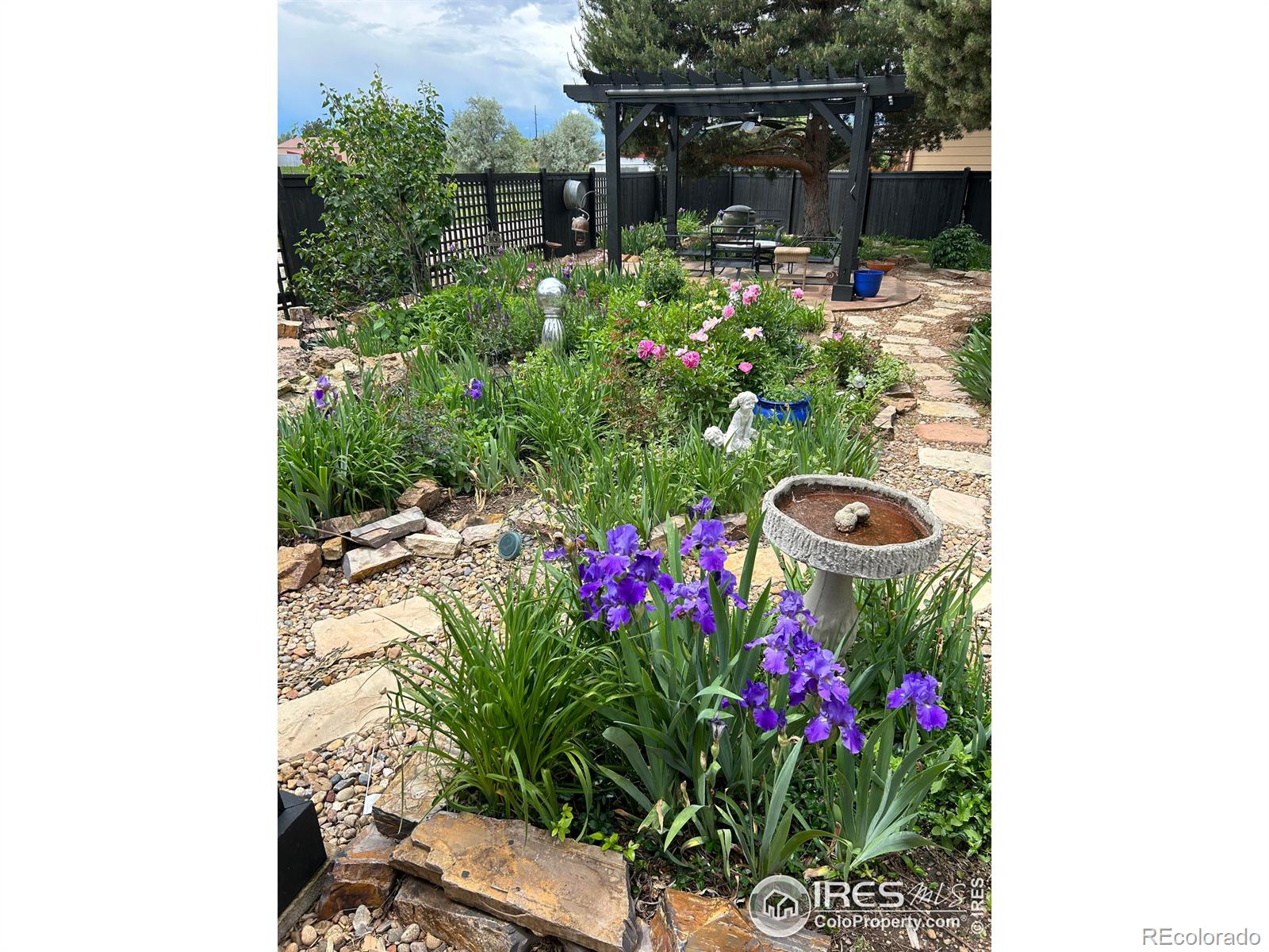 MLS Image #38 for 5213  mt arapaho circle,frederick, Colorado