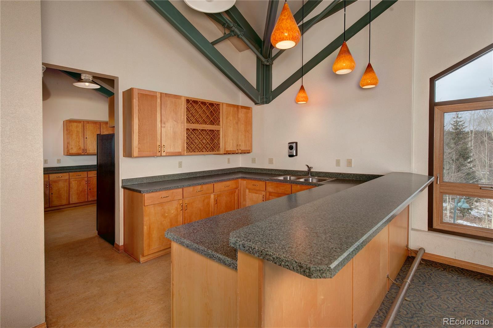 MLS Image #23 for 4200  lodge pole circle,silverthorne, Colorado