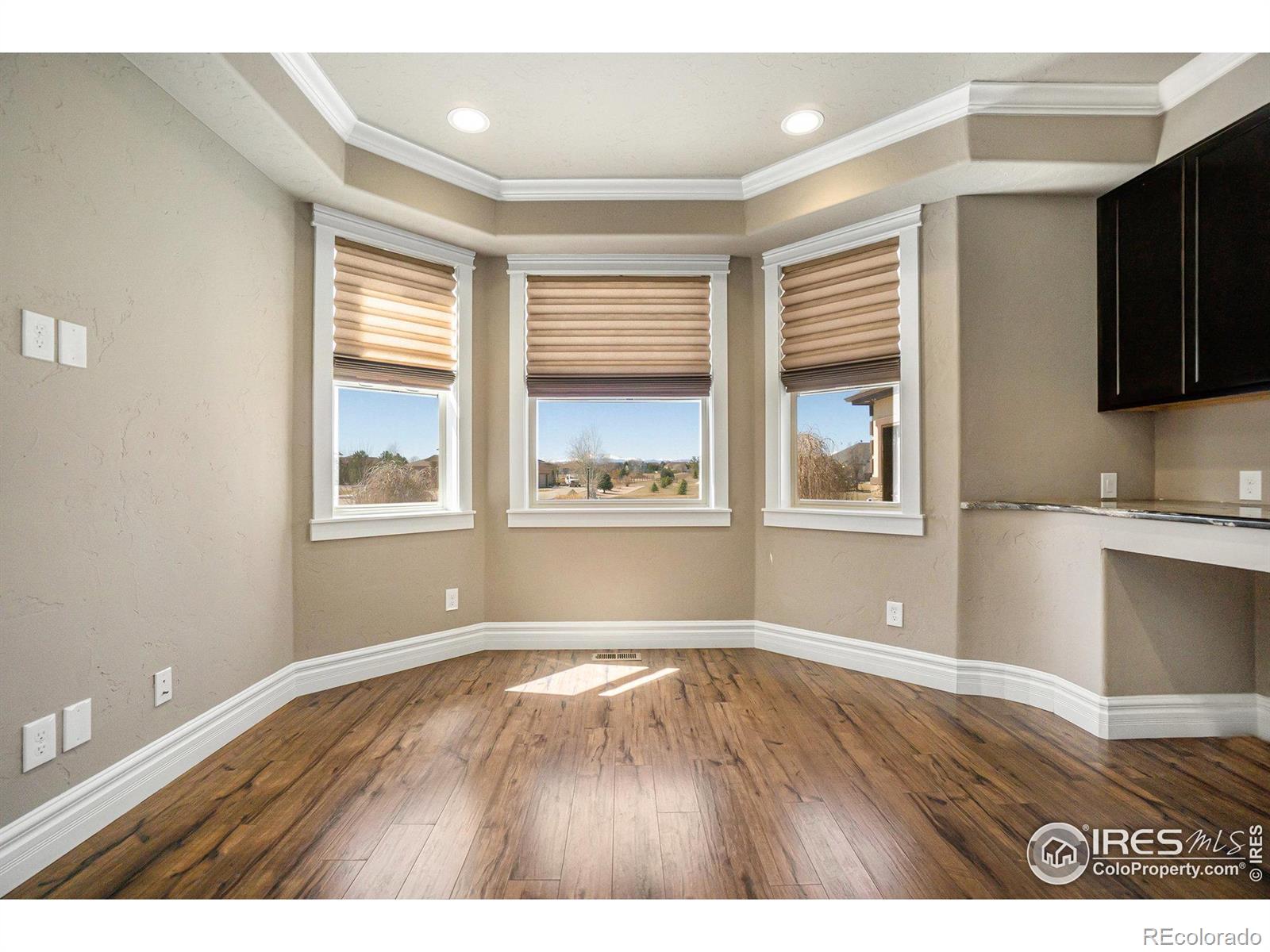 MLS Image #12 for 8734  longs peak circle,windsor, Colorado