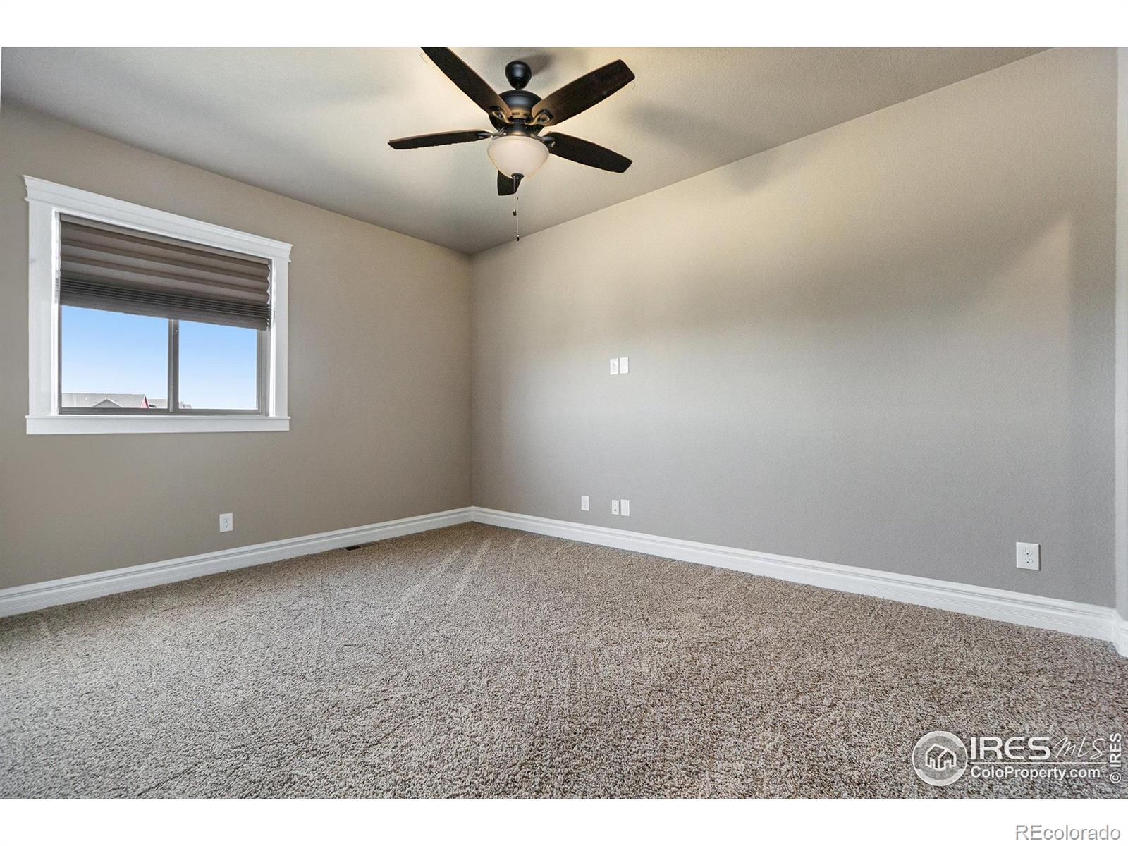 MLS Image #22 for 8734  longs peak circle,windsor, Colorado