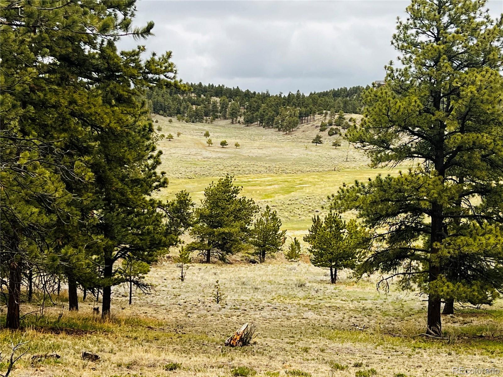 MLS Image #25 for 429  spread eagle drive,westcliffe, Colorado