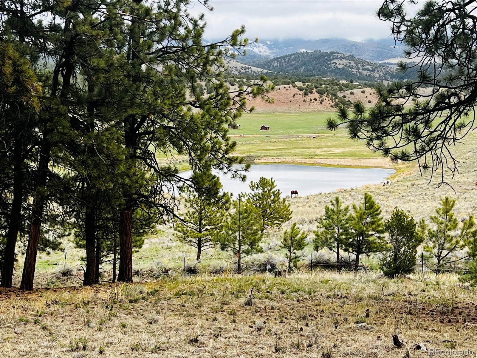 MLS Image #26 for 429  spread eagle drive,westcliffe, Colorado