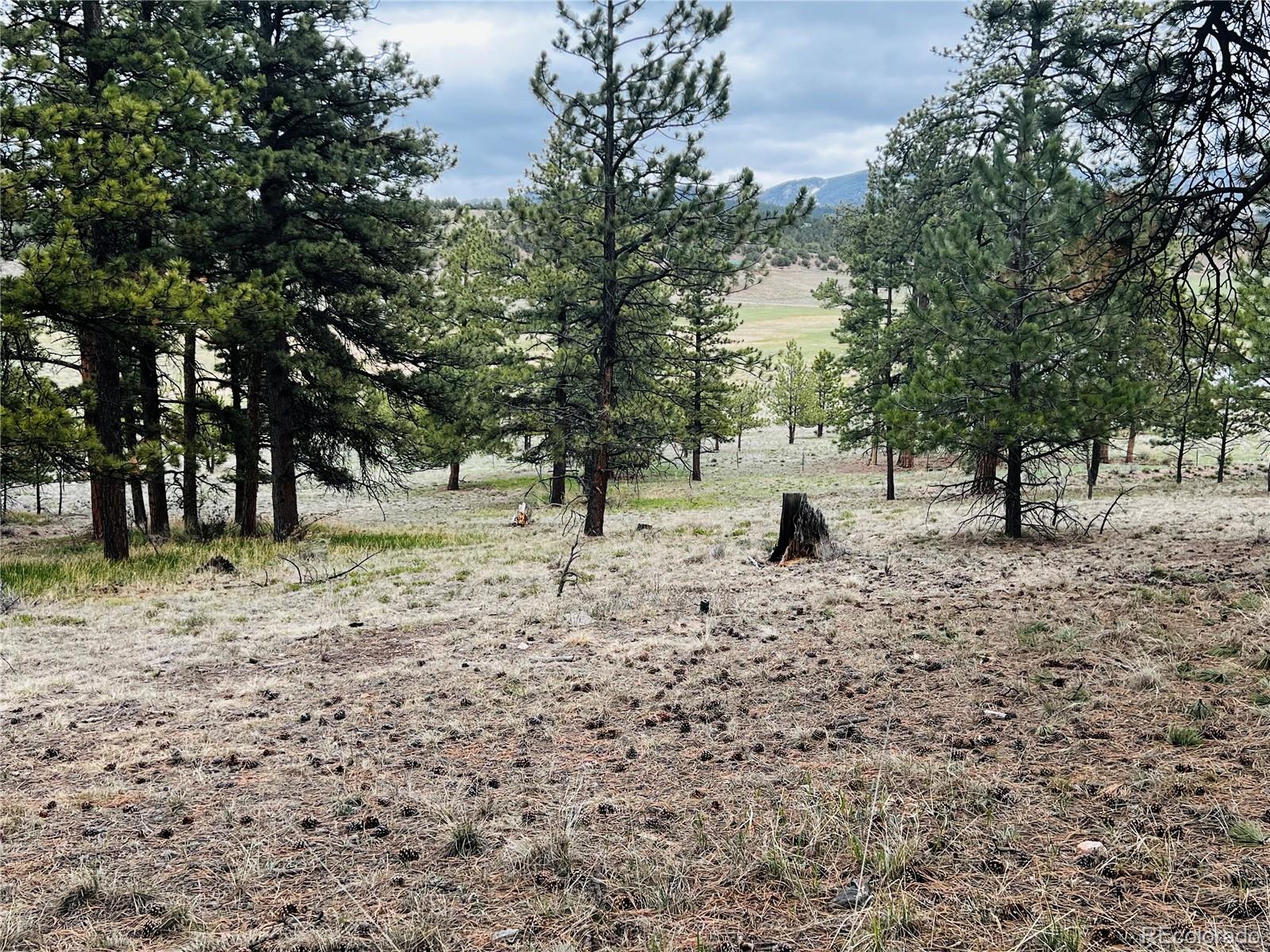 MLS Image #27 for 429  spread eagle drive,westcliffe, Colorado