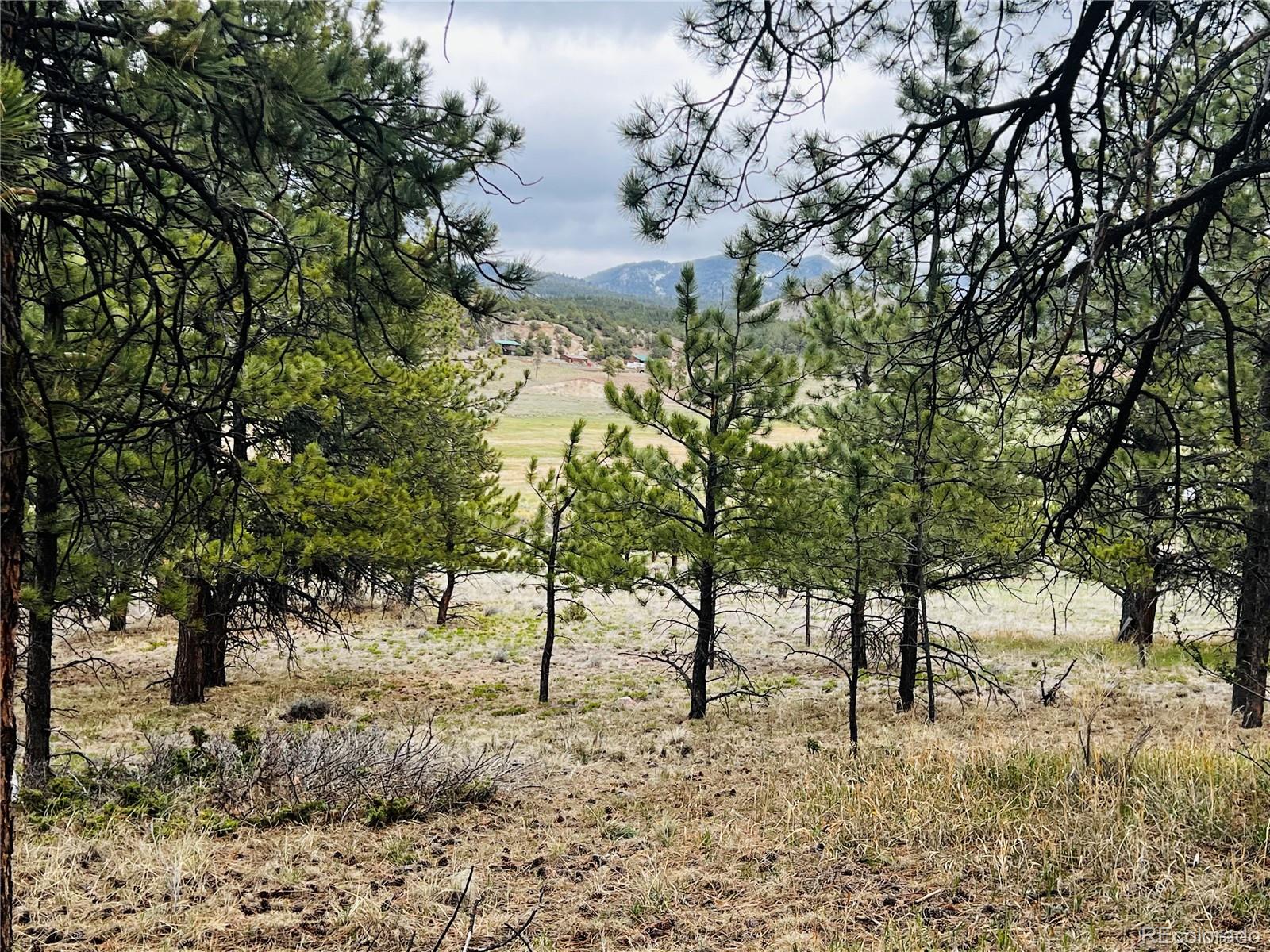 MLS Image #28 for 429  spread eagle drive,westcliffe, Colorado