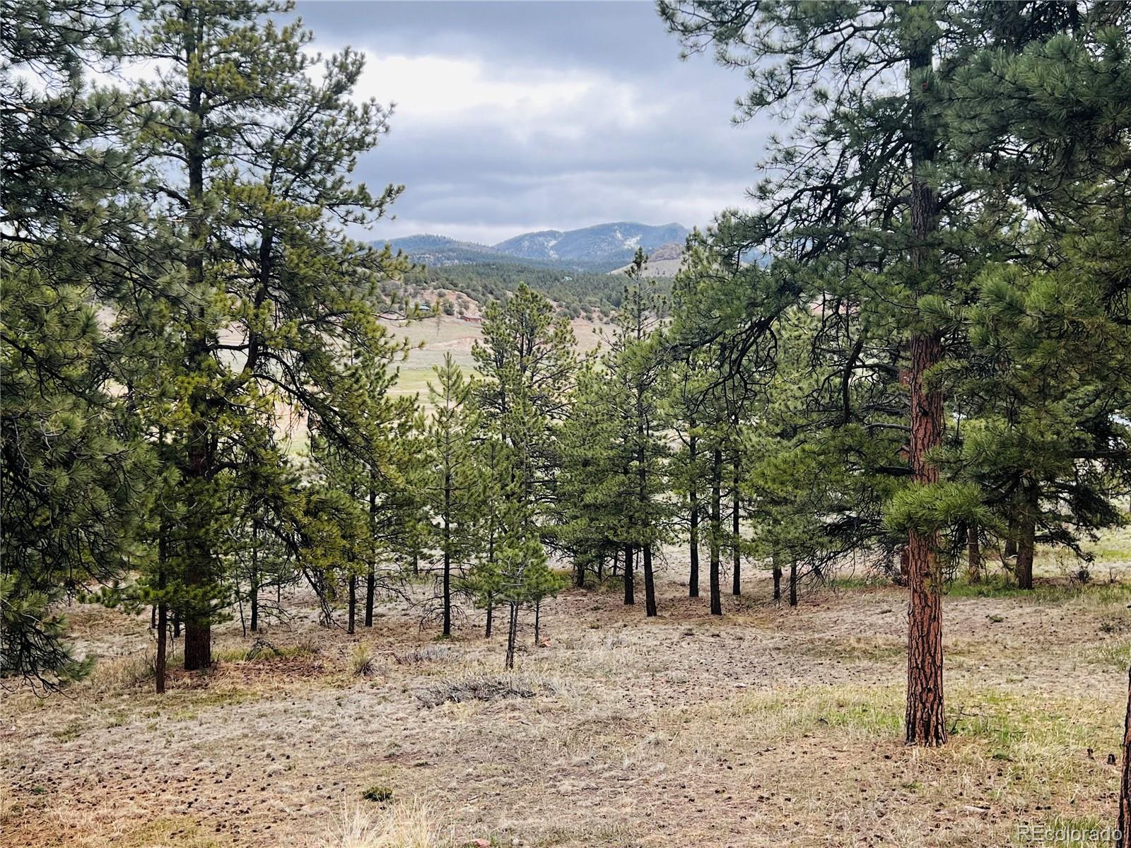 MLS Image #34 for 429  spread eagle drive,westcliffe, Colorado