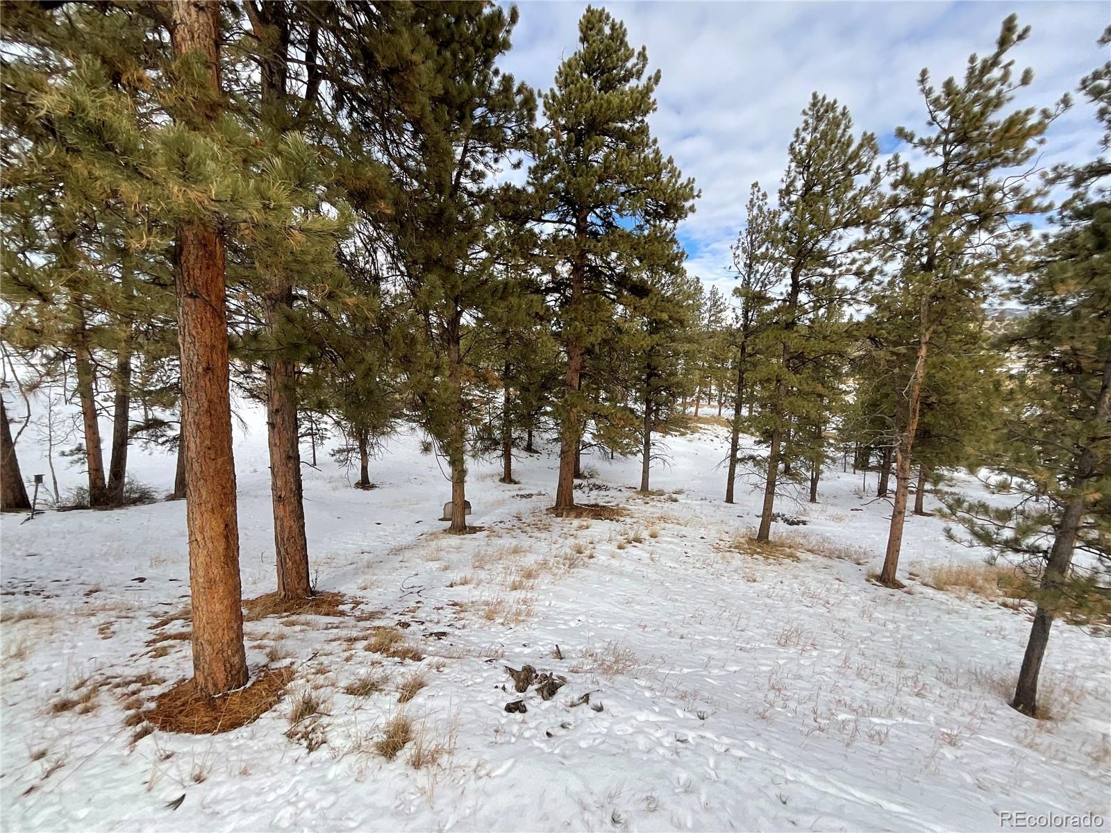 MLS Image #38 for 429  spread eagle drive,westcliffe, Colorado