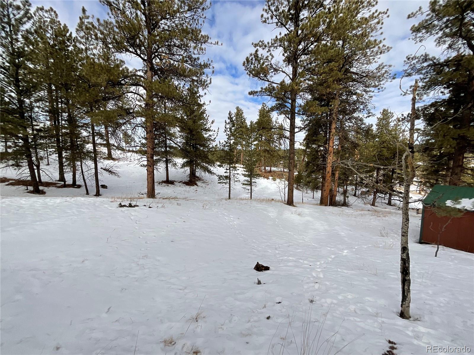 MLS Image #41 for 429  spread eagle drive,westcliffe, Colorado