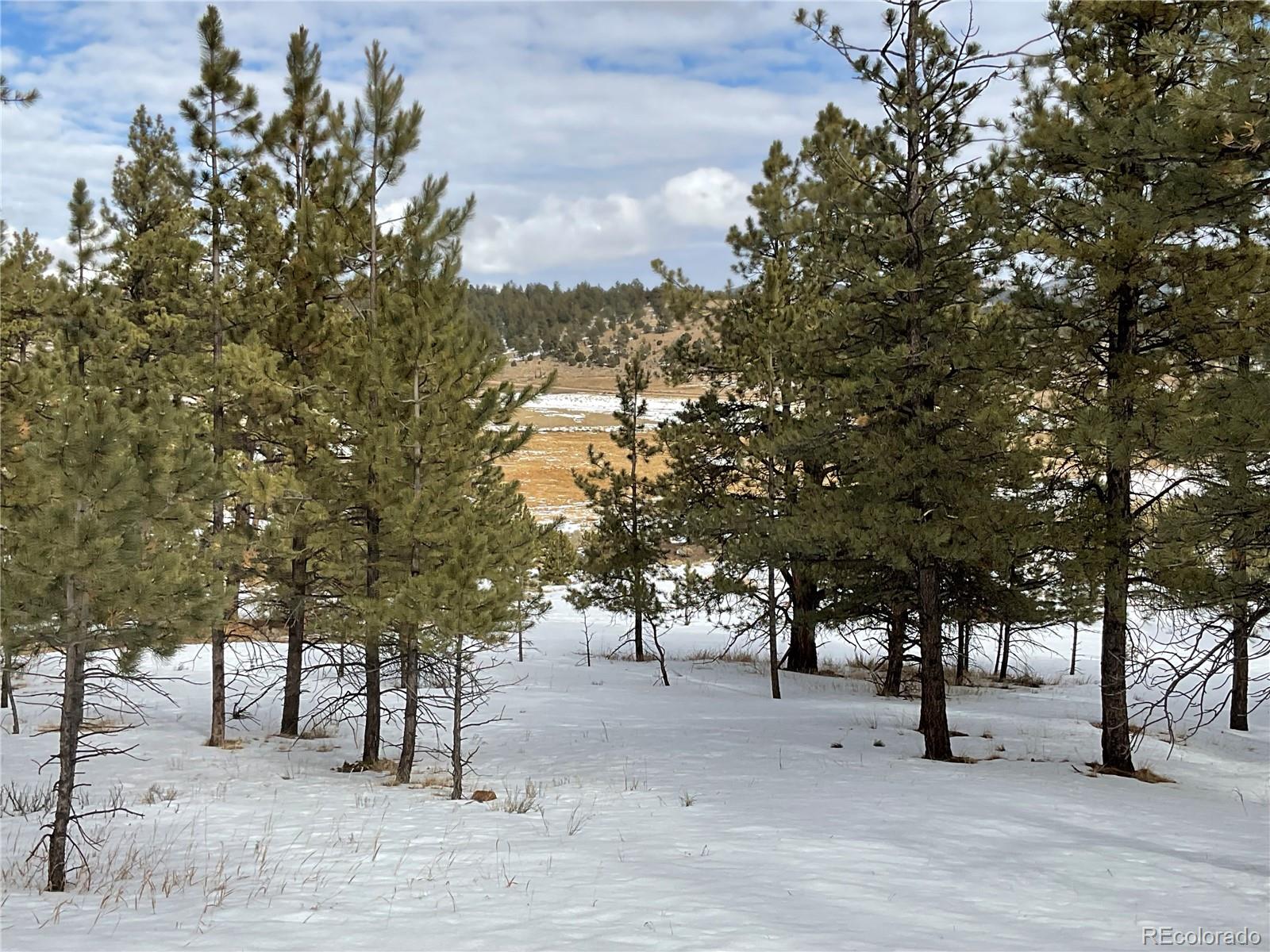 MLS Image #42 for 429  spread eagle drive,westcliffe, Colorado