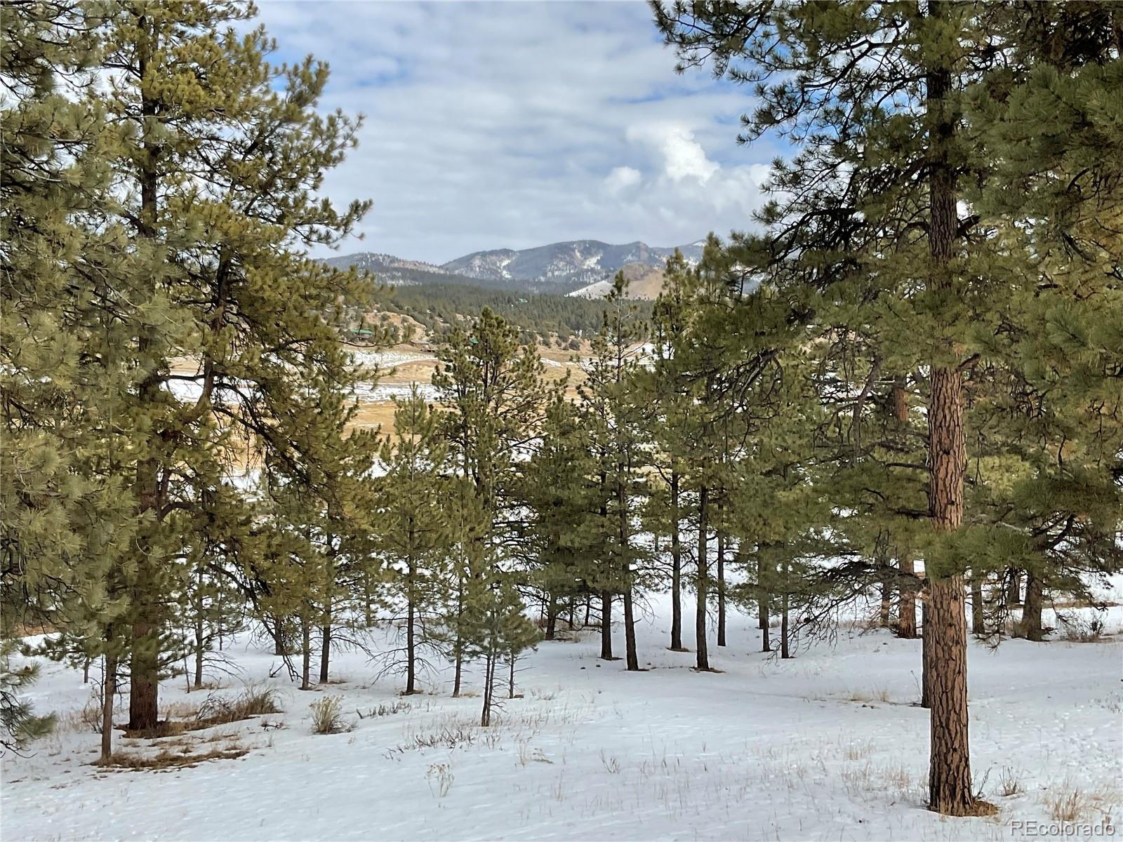 MLS Image #47 for 429  spread eagle drive,westcliffe, Colorado