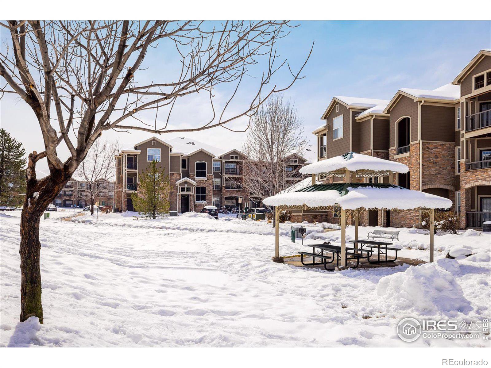 MLS Image #19 for 1495  blue sky way,erie, Colorado