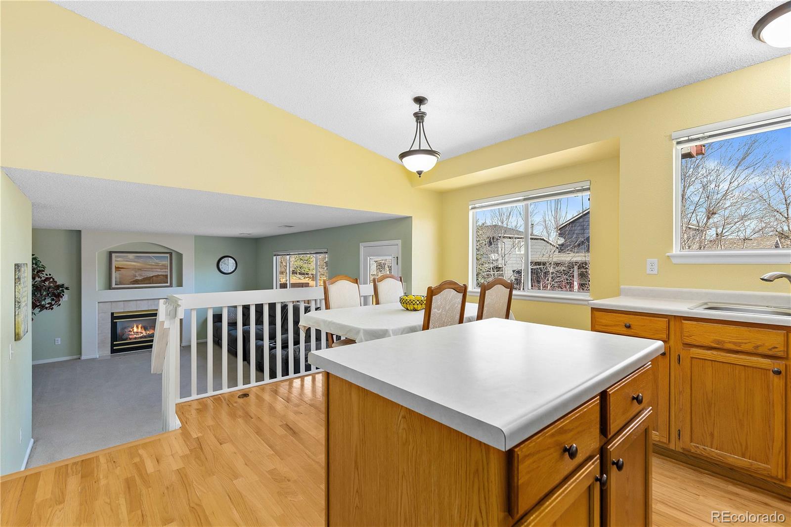 MLS Image #6 for 10672  hyacinth street,highlands ranch, Colorado