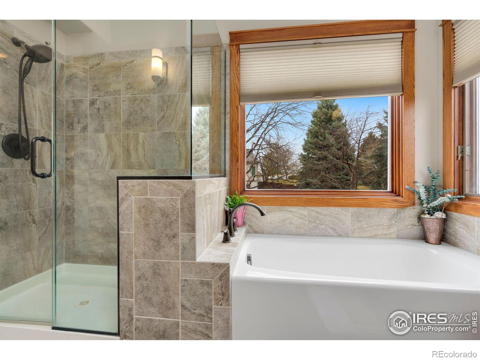 MLS Image #17 for 1006  hinsdale drive,fort collins, Colorado