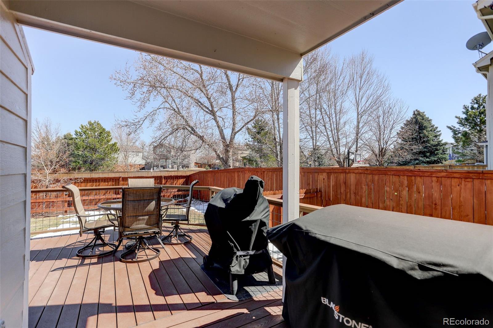 MLS Image #42 for 9714  spring hill street,highlands ranch, Colorado