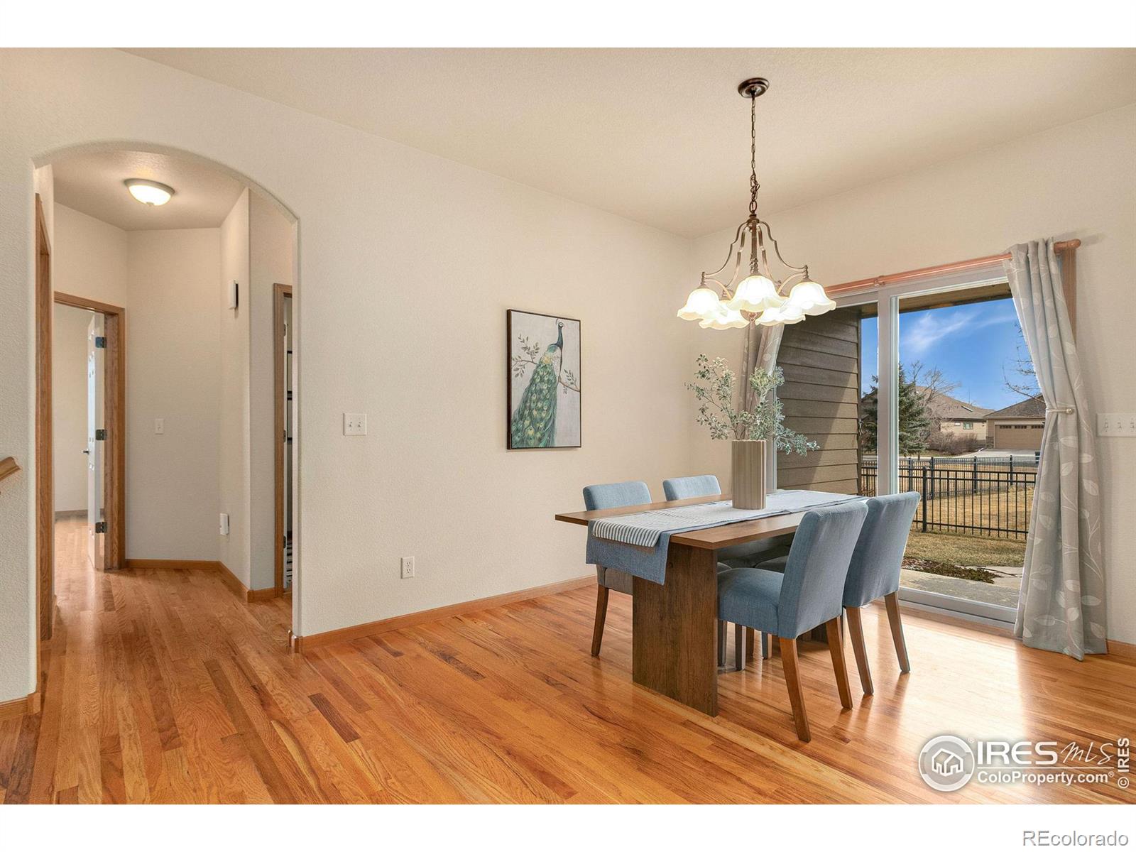 MLS Image #14 for 2958  purgatory creek drive,loveland, Colorado