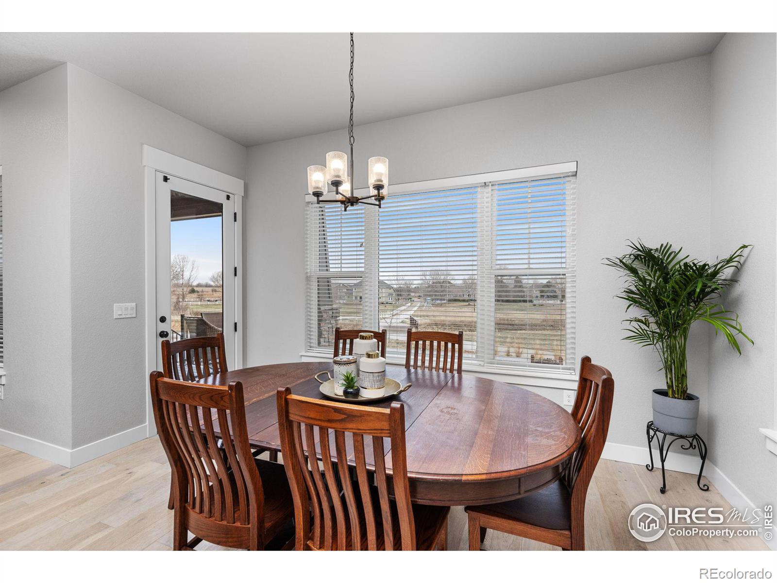 MLS Image #8 for 8455  annapolis drive,windsor, Colorado