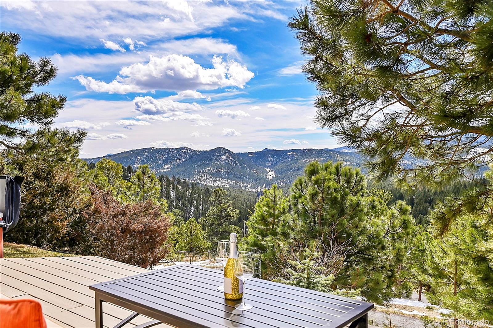 MLS Image #21 for 1137  stagecoach boulevard,evergreen, Colorado
