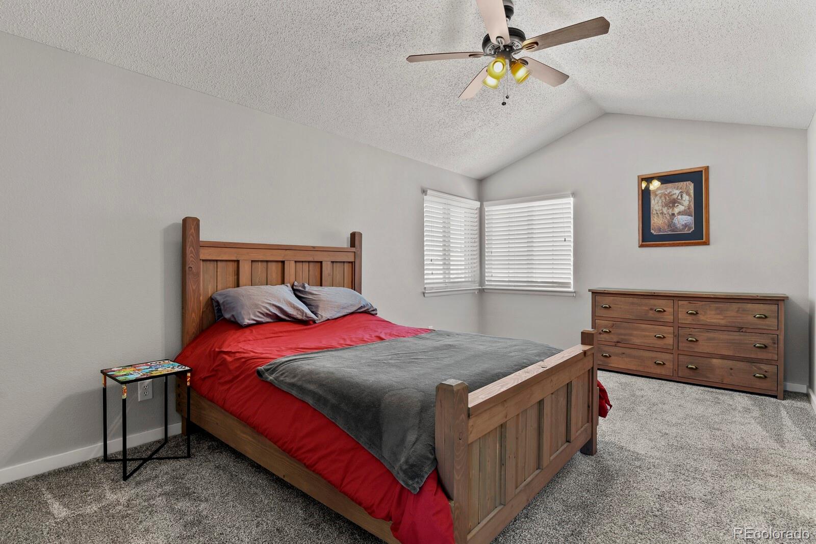 MLS Image #25 for 22084  day star drive,parker, Colorado