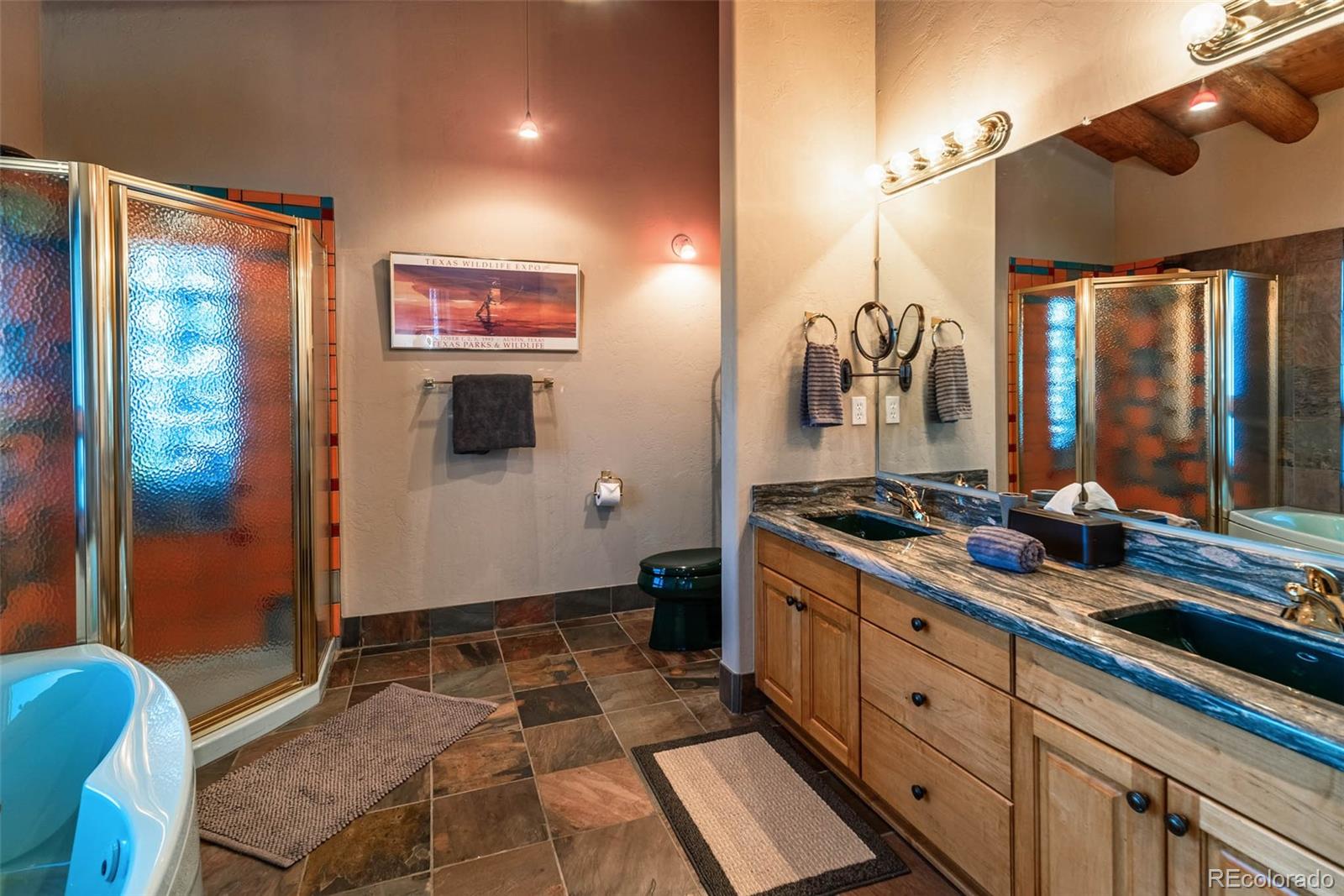 MLS Image #21 for 2439  beaver creek road,fairplay, Colorado