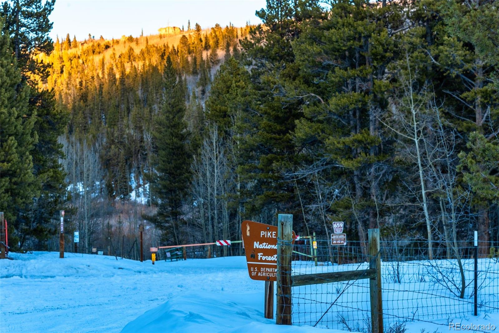 MLS Image #39 for 2439  beaver creek road,fairplay, Colorado