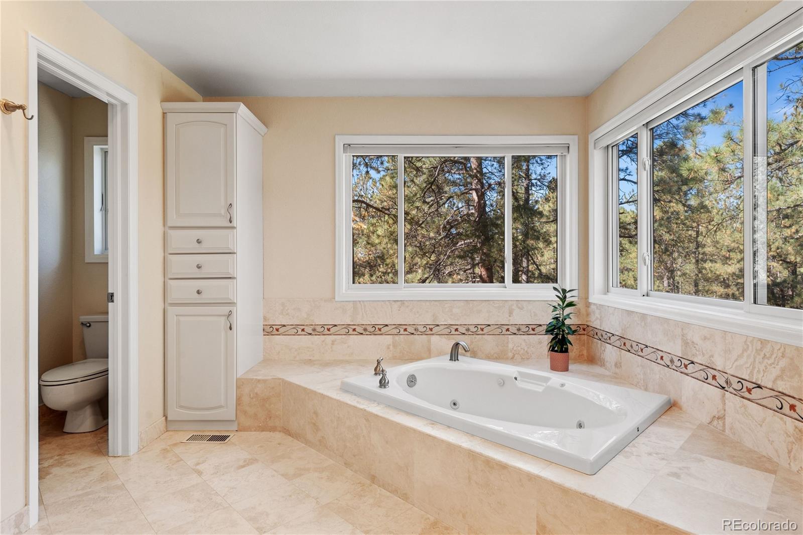 MLS Image #18 for 1291  meadow trail,franktown, Colorado