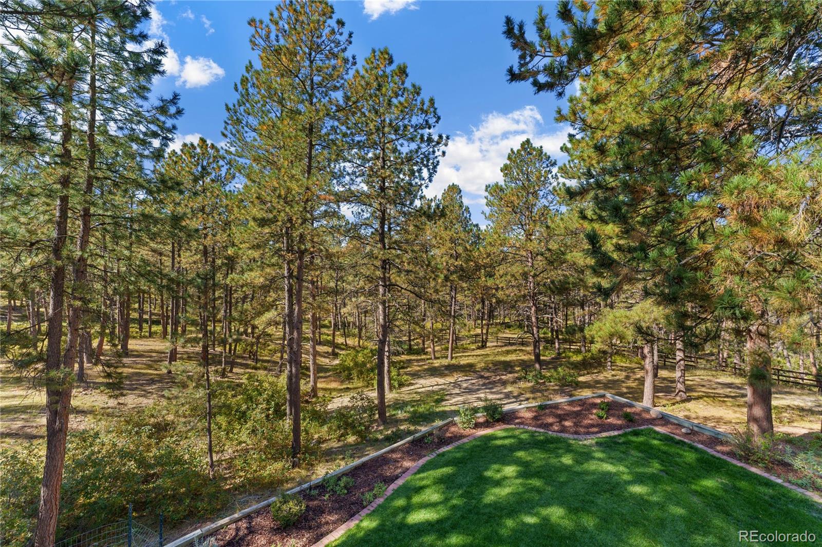 MLS Image #34 for 1291  meadow trail,franktown, Colorado