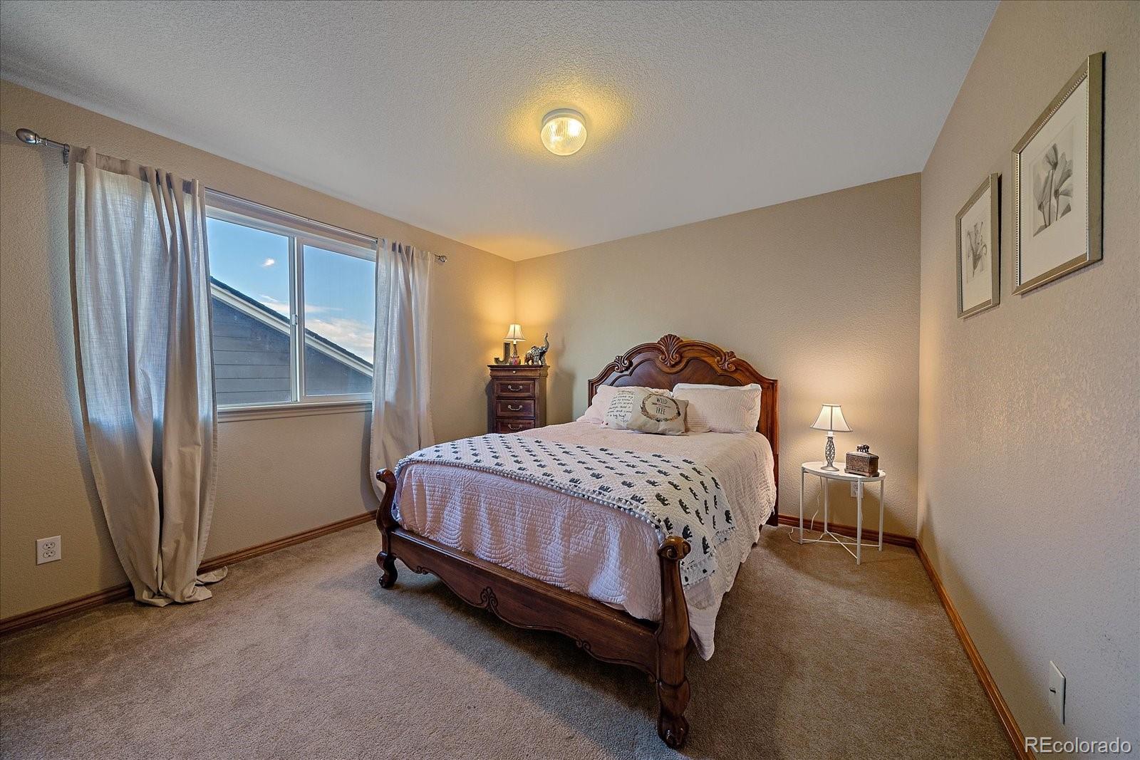 MLS Image #22 for 3365  softwind point,castle rock, Colorado