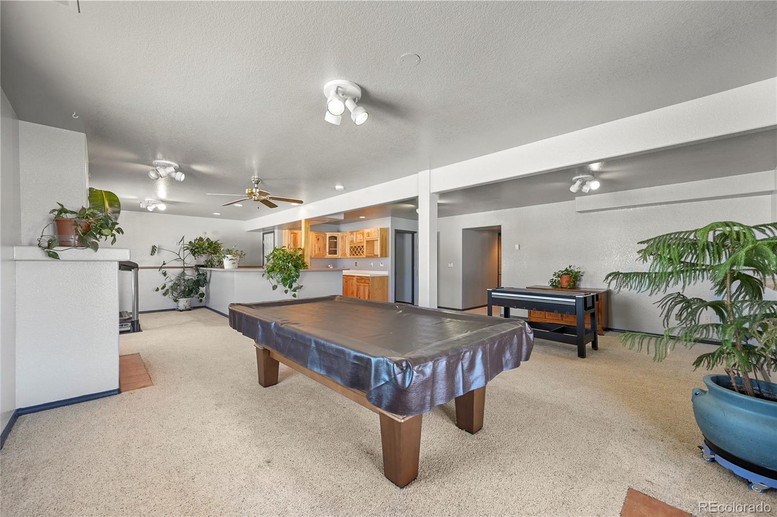 MLS Image #23 for 16270  homecrest circle,elbert, Colorado