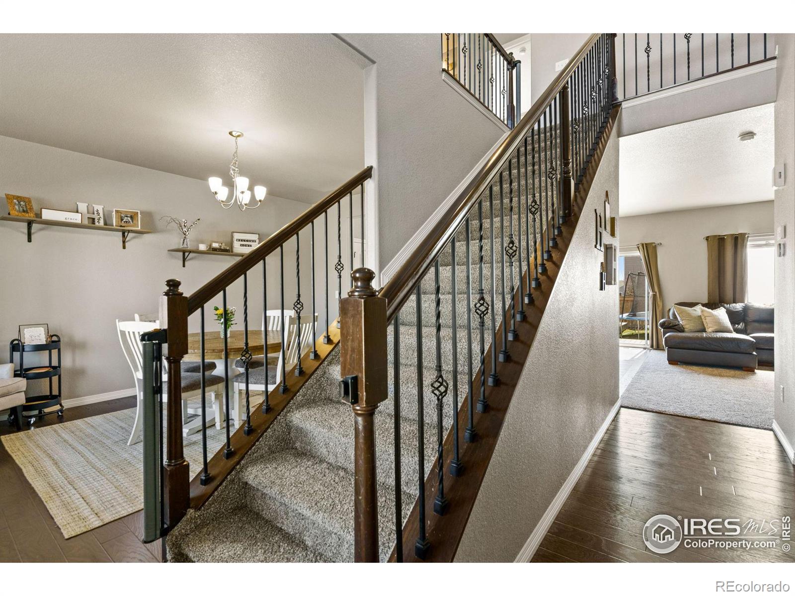 MLS Image #14 for 1515  cirque valley lane,severance, Colorado