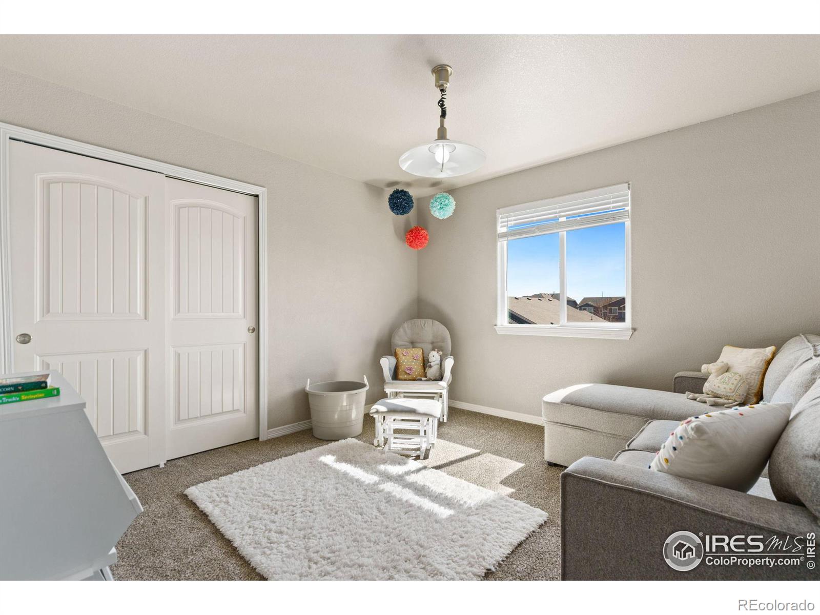 MLS Image #22 for 1515  cirque valley lane,severance, Colorado